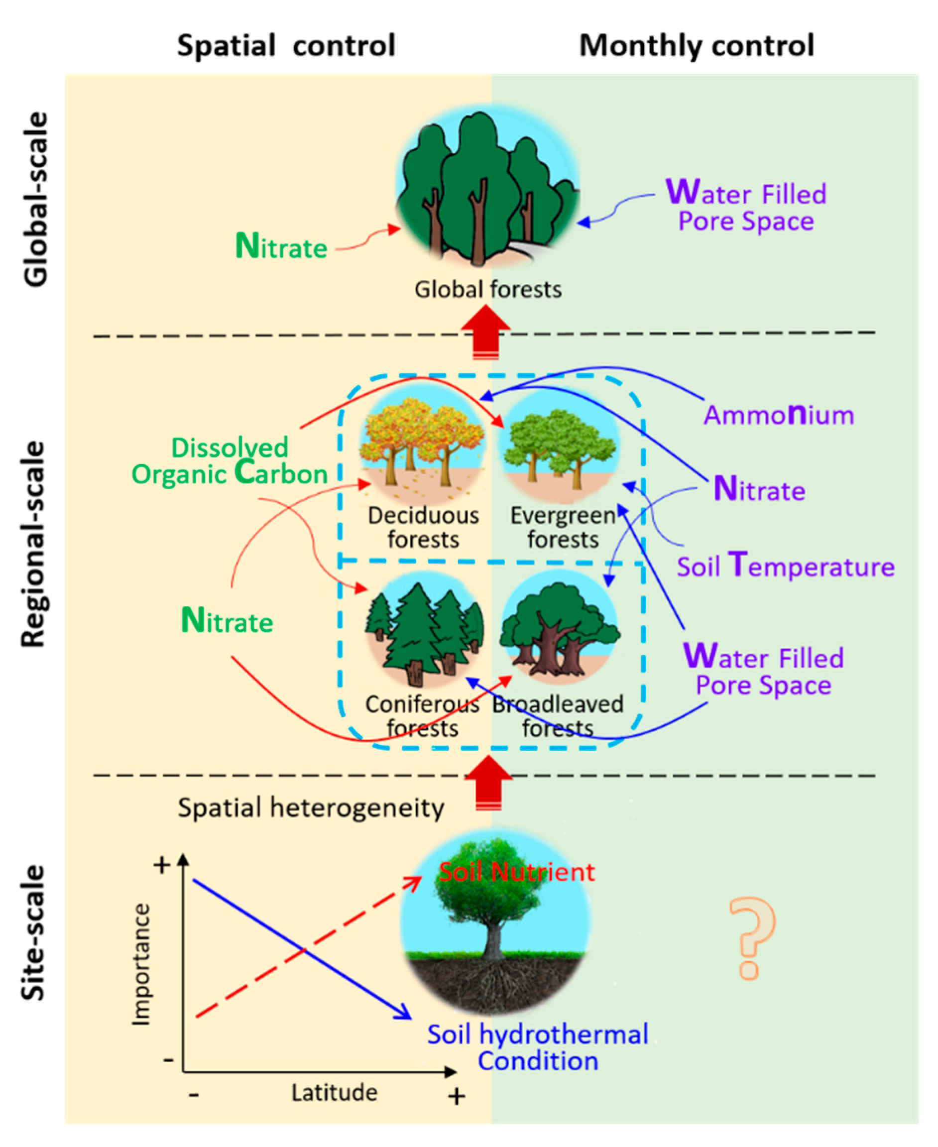 Forests 11 00251 g009