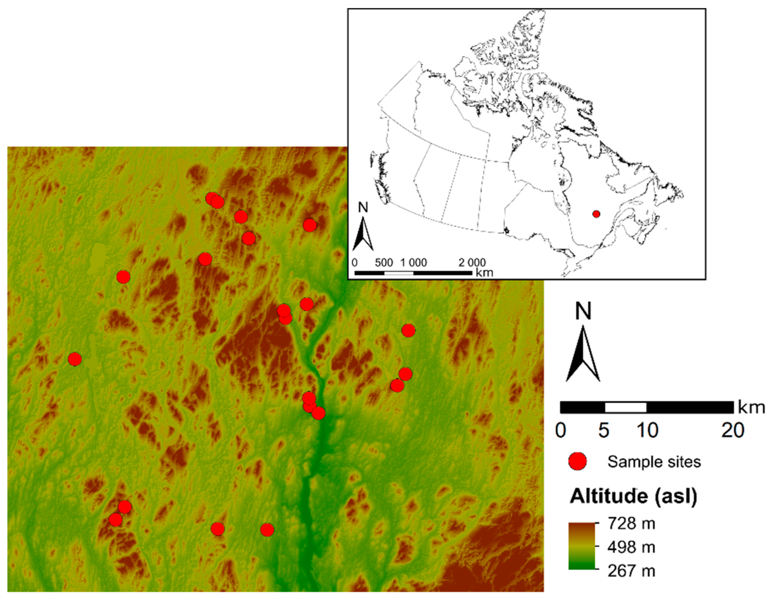 Forests 11 00252 g001