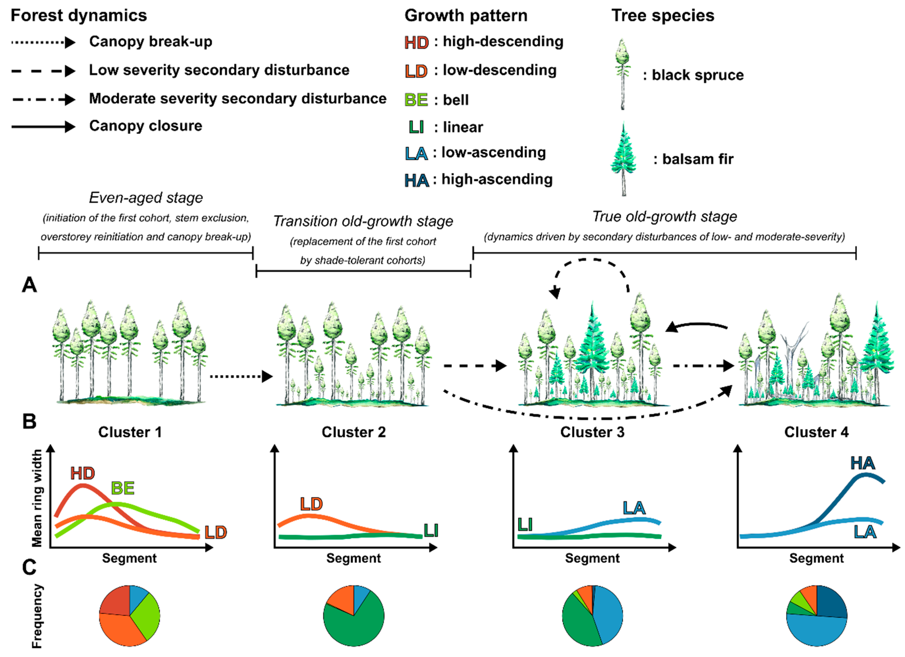 Forests 11 00252 g005