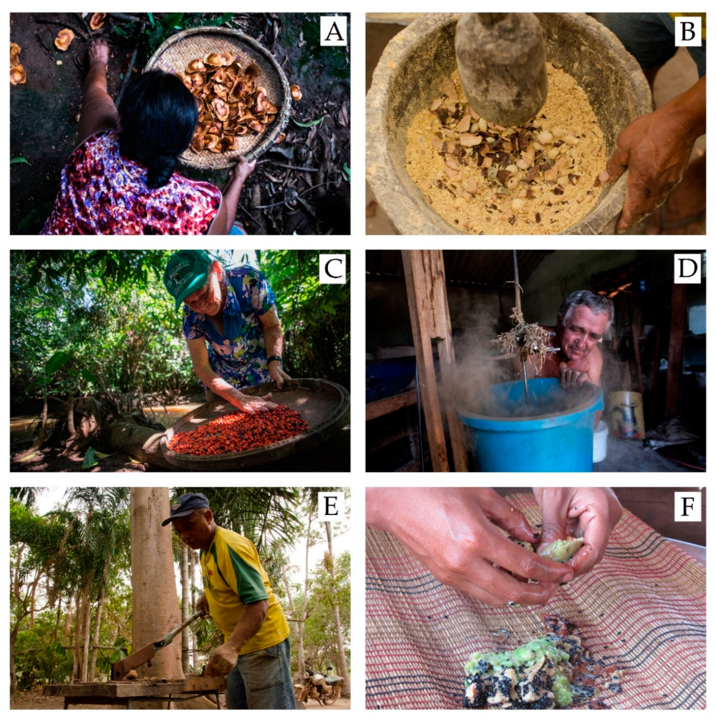 Forests 11 00259 g003