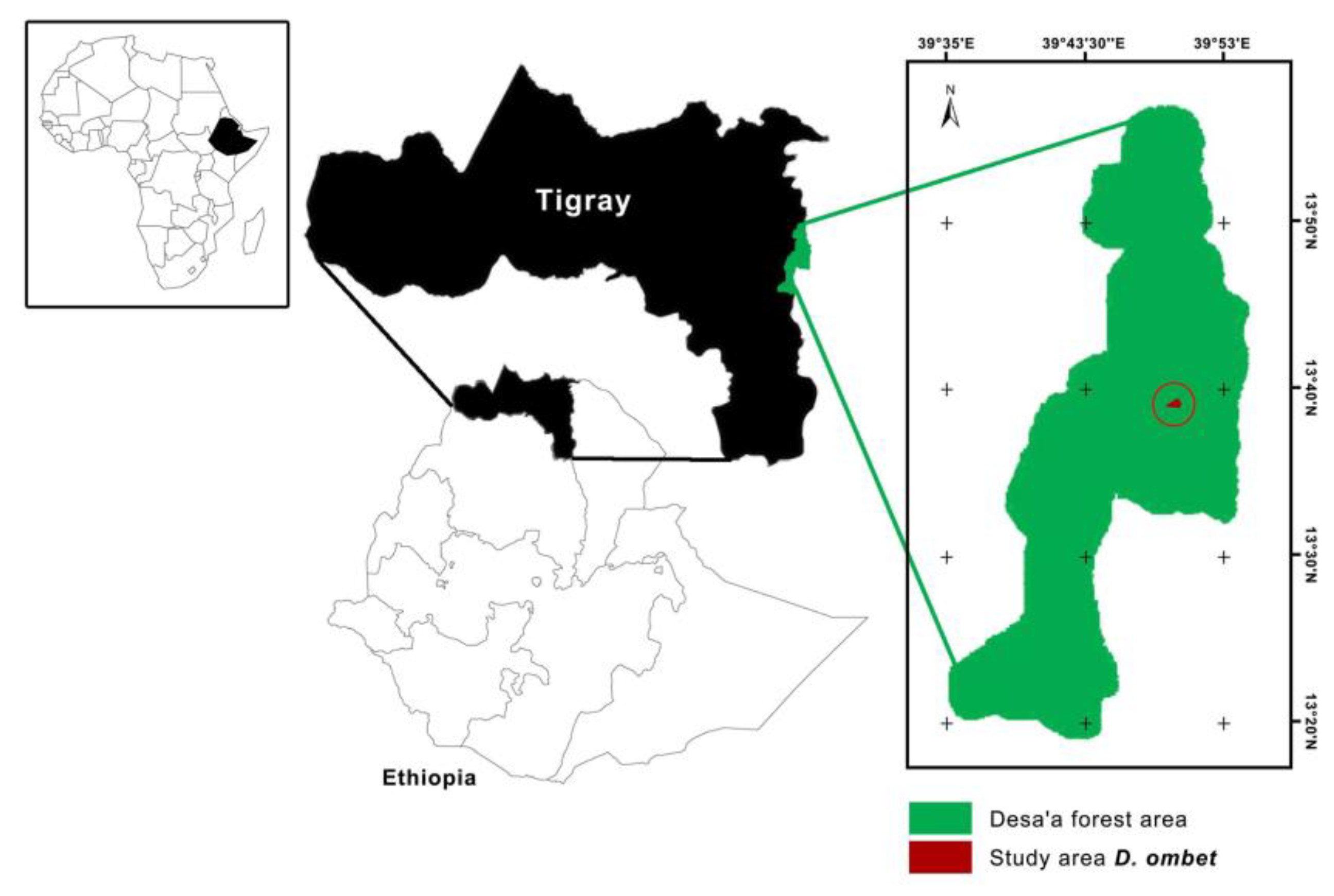 Forests 11 00264 g002