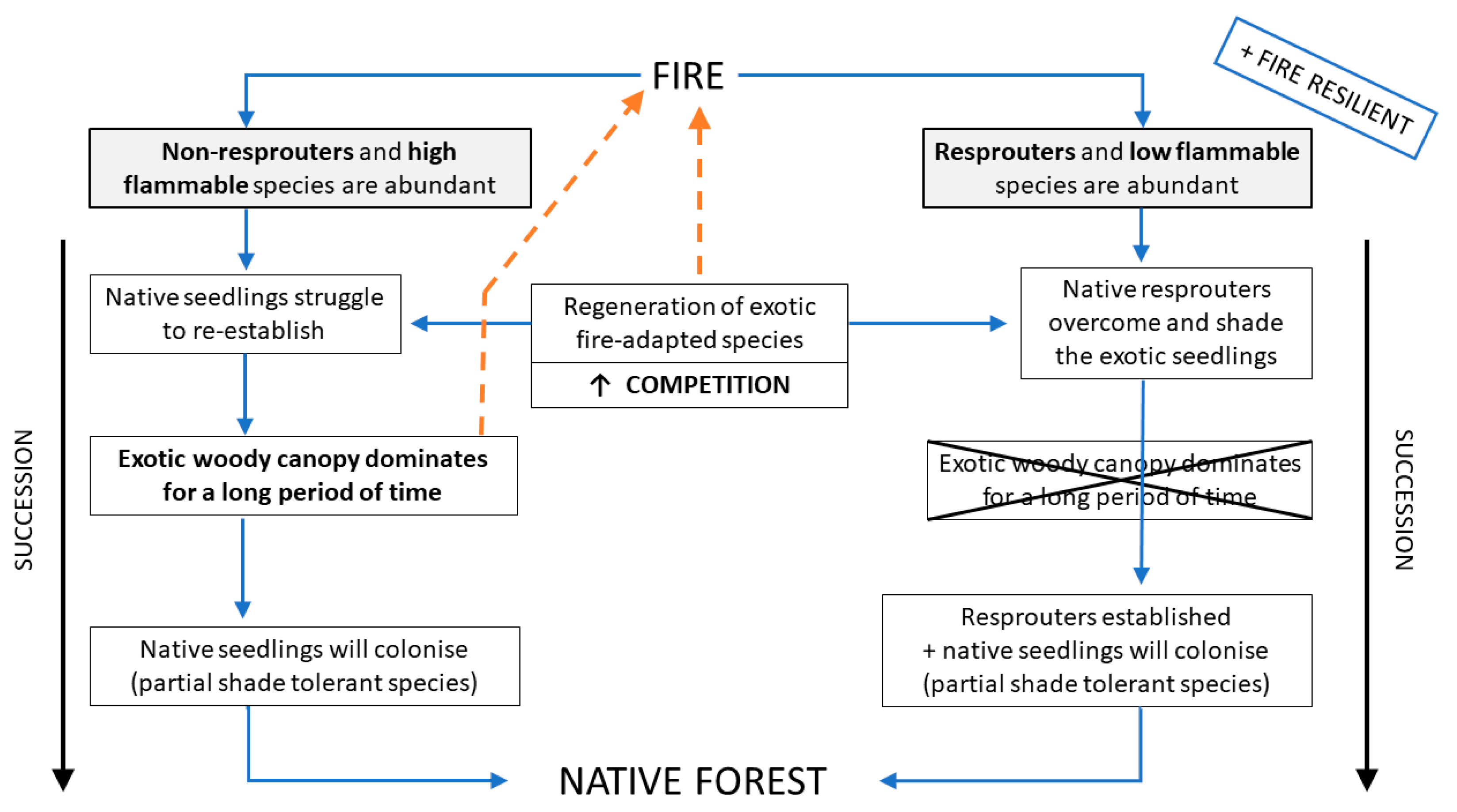 Forests 11 00269 g004