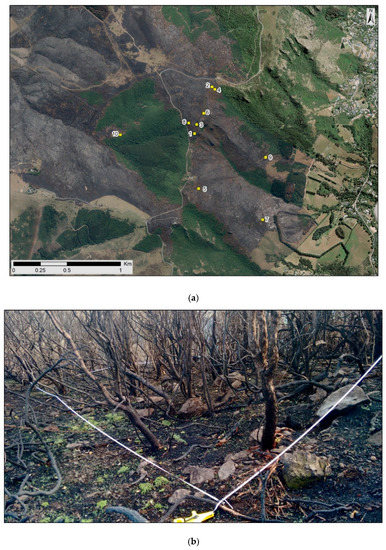 Forests 11 00269 g0a1