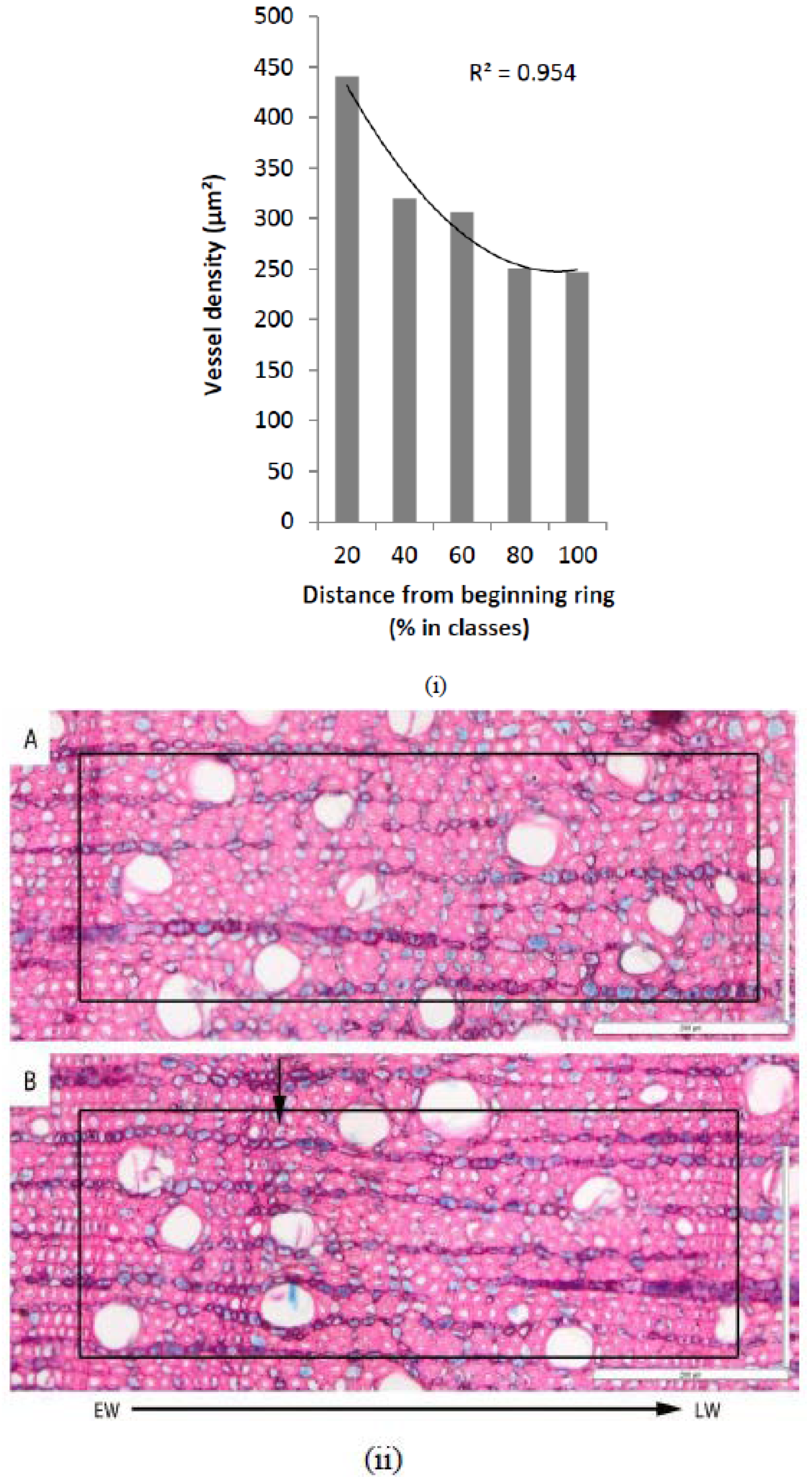 Forests 11 00310 g005