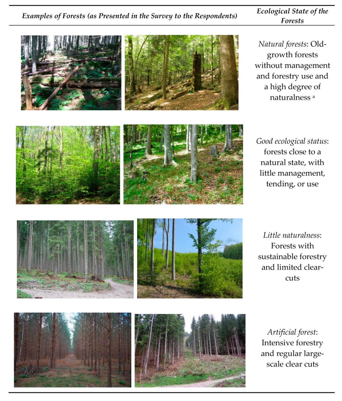 Forests 11 00326 g001 Forests 11 00326 g001