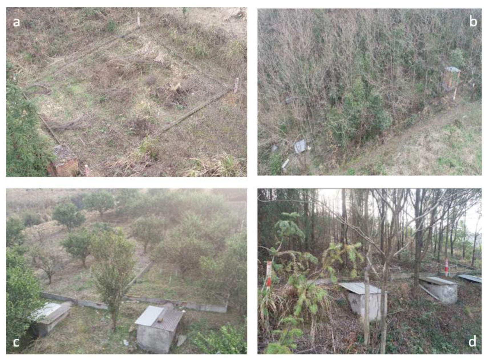 Forests 11 00329 g003