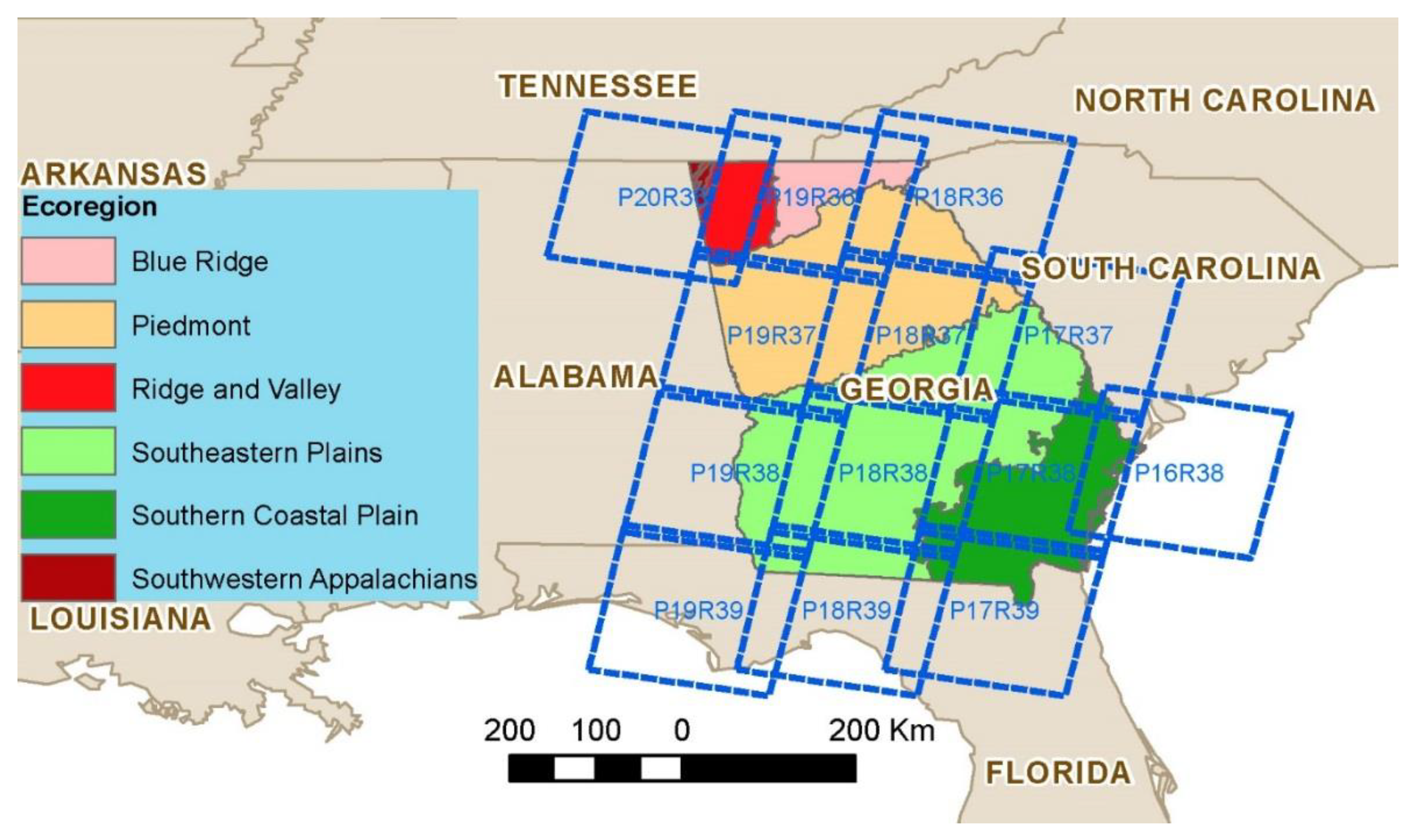 Forests 11 00335 g001