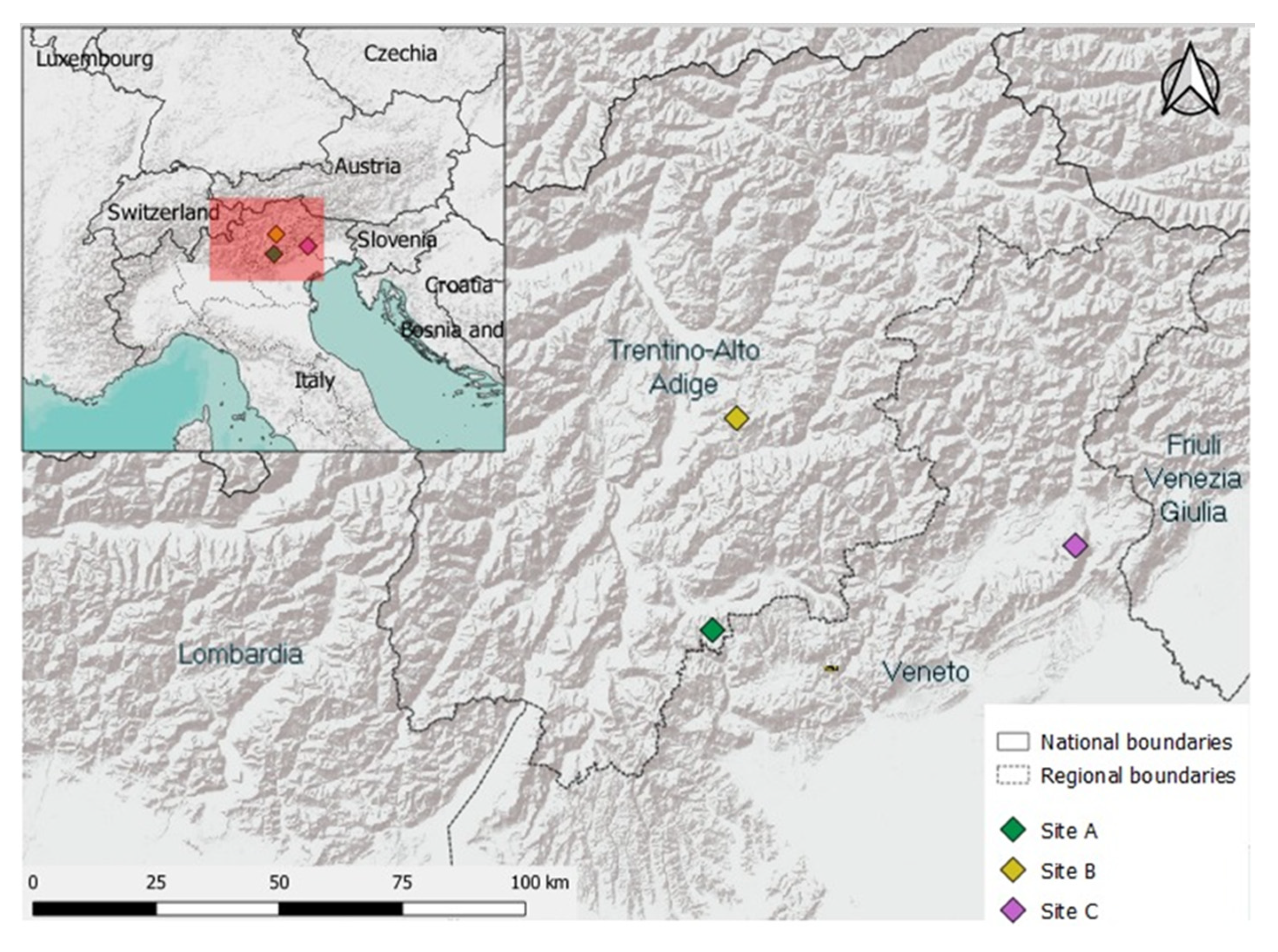 Forests 11 00341 g001