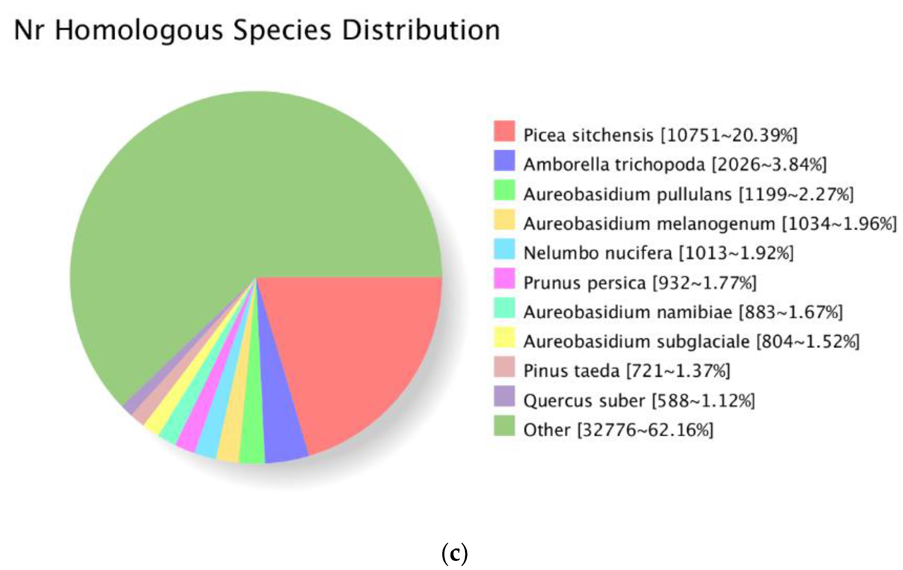 Forests 11 00350 g002b Forests 11 00350 g002b