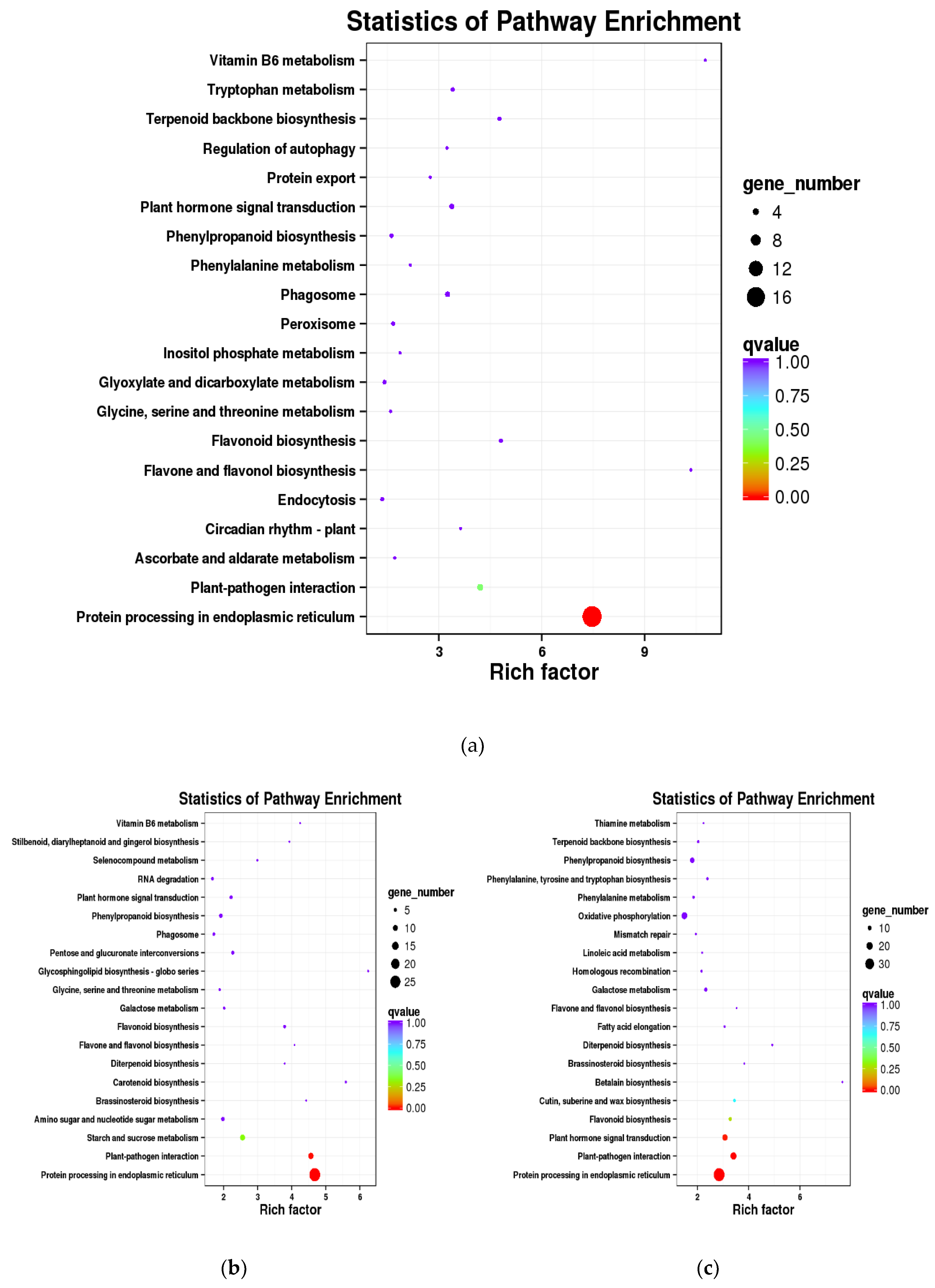 Forests 11 00350 g004a Forests 11 00350 g004a