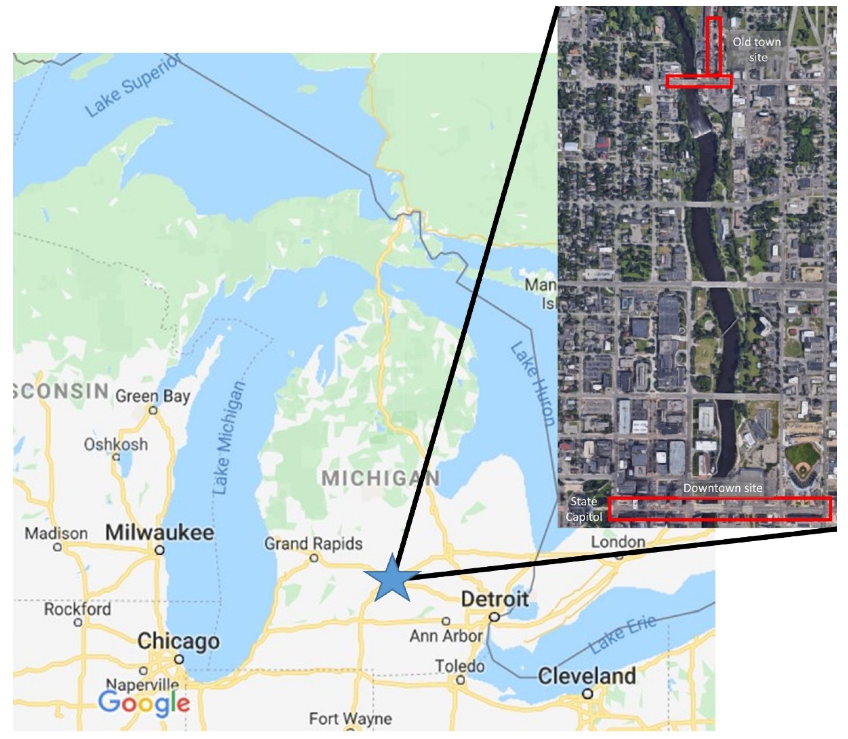 Forests 11 00355 g001