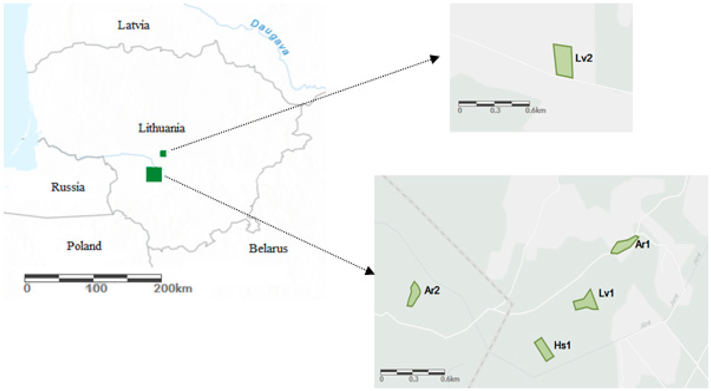 Forests 11 00365 g001