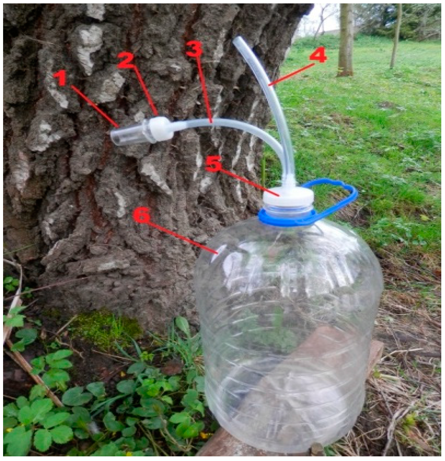 Forests 11 00365 g002