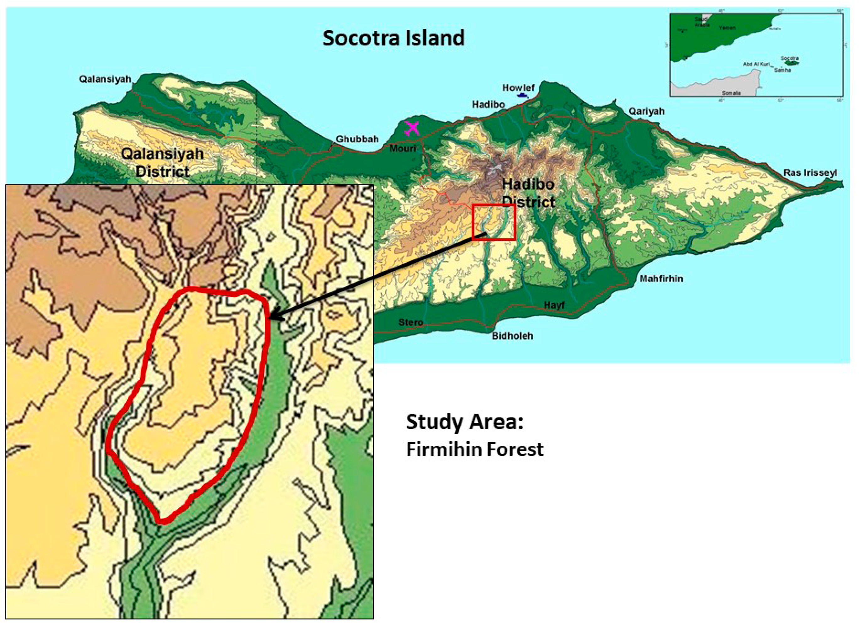Forests 11 00389 g001