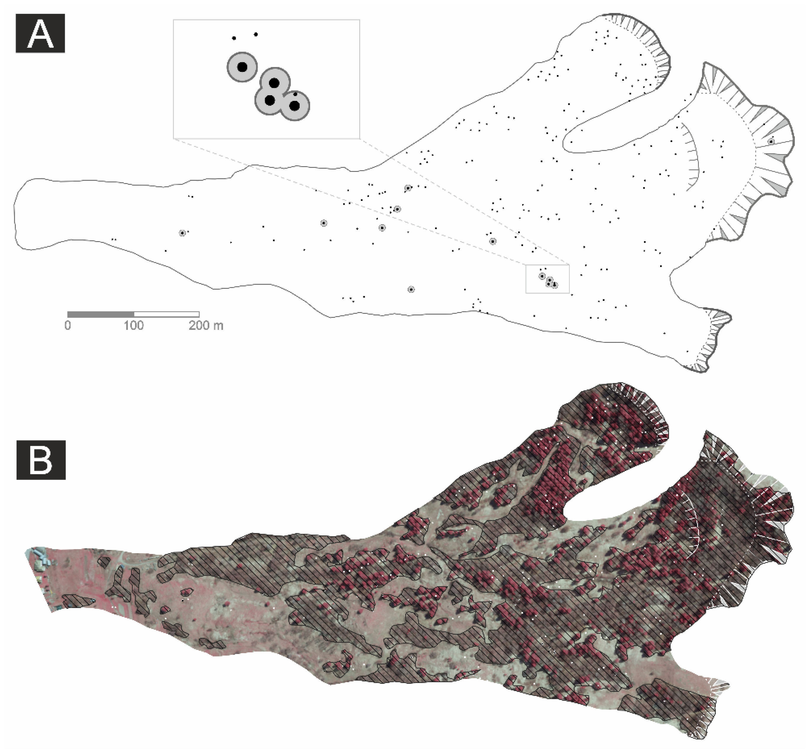 Forests 11 00400 g005