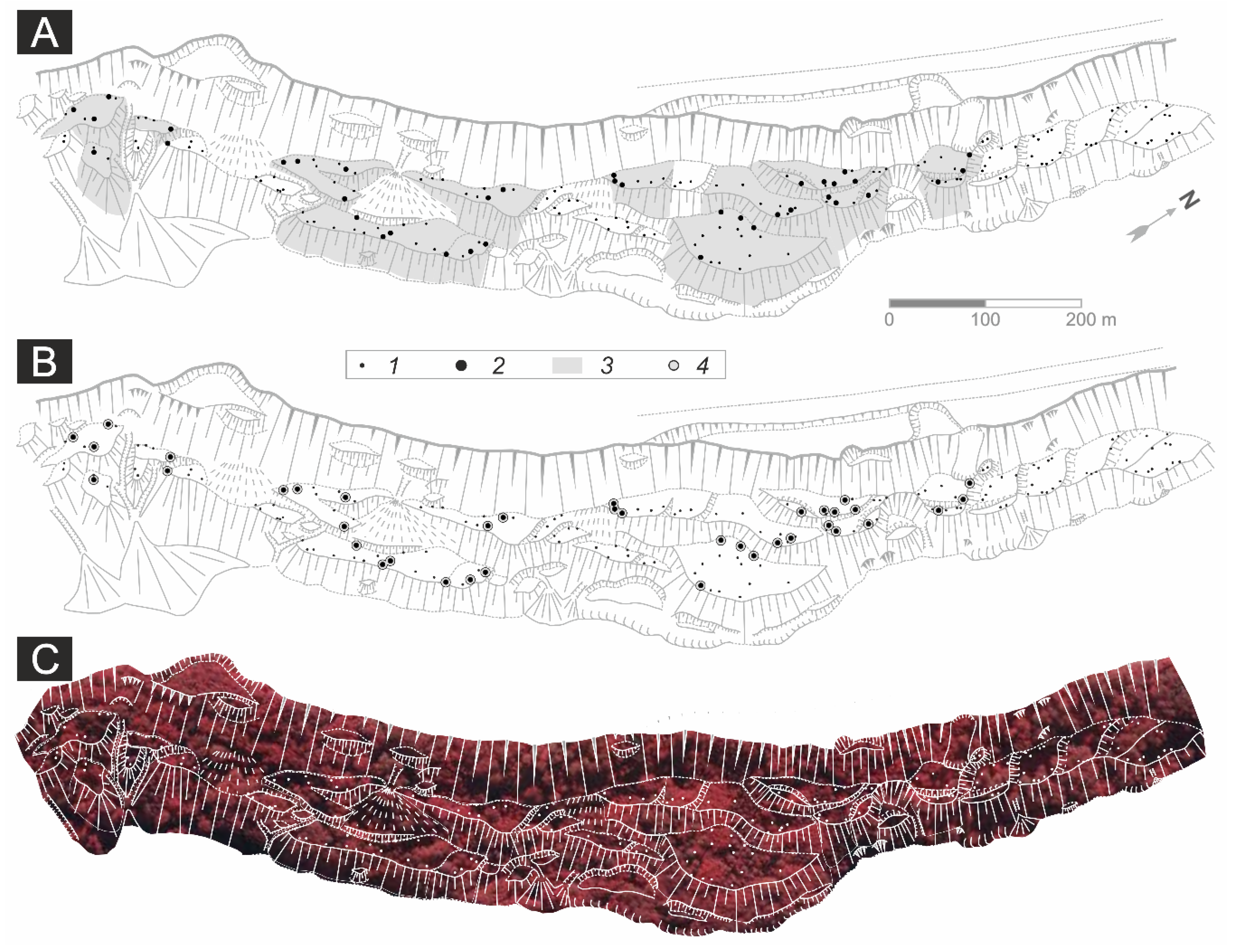 Forests 11 00400 g007