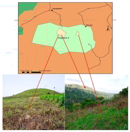 Forests 11 00411 g0a2