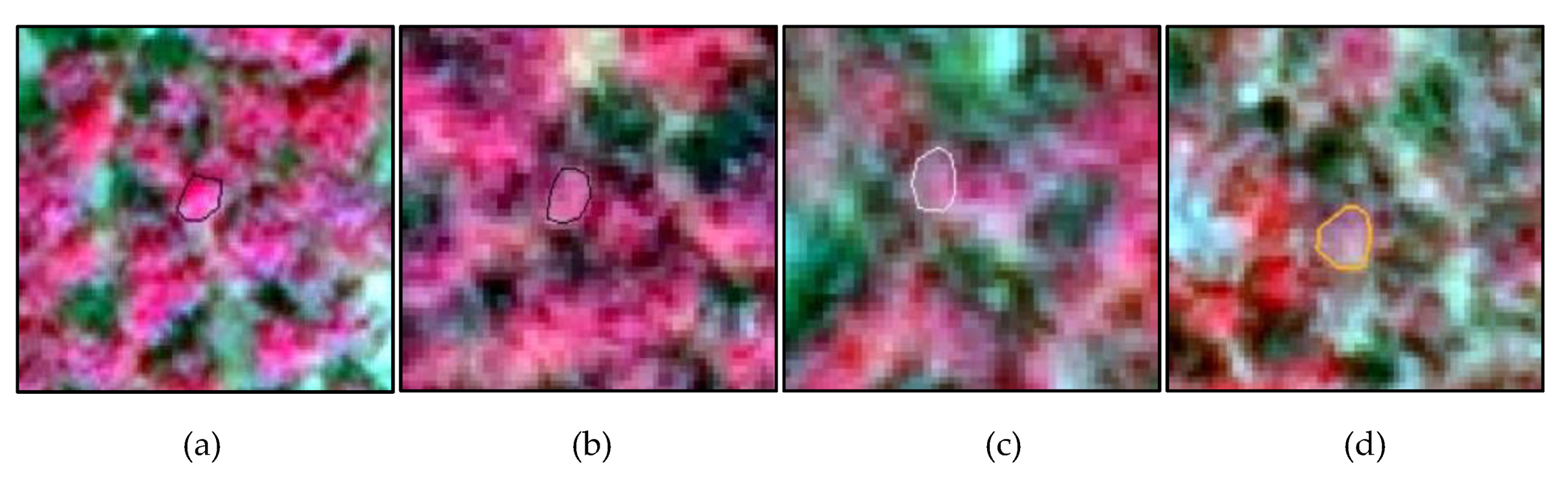 Forests 11 00417 g003 Forests 11 00417 g003