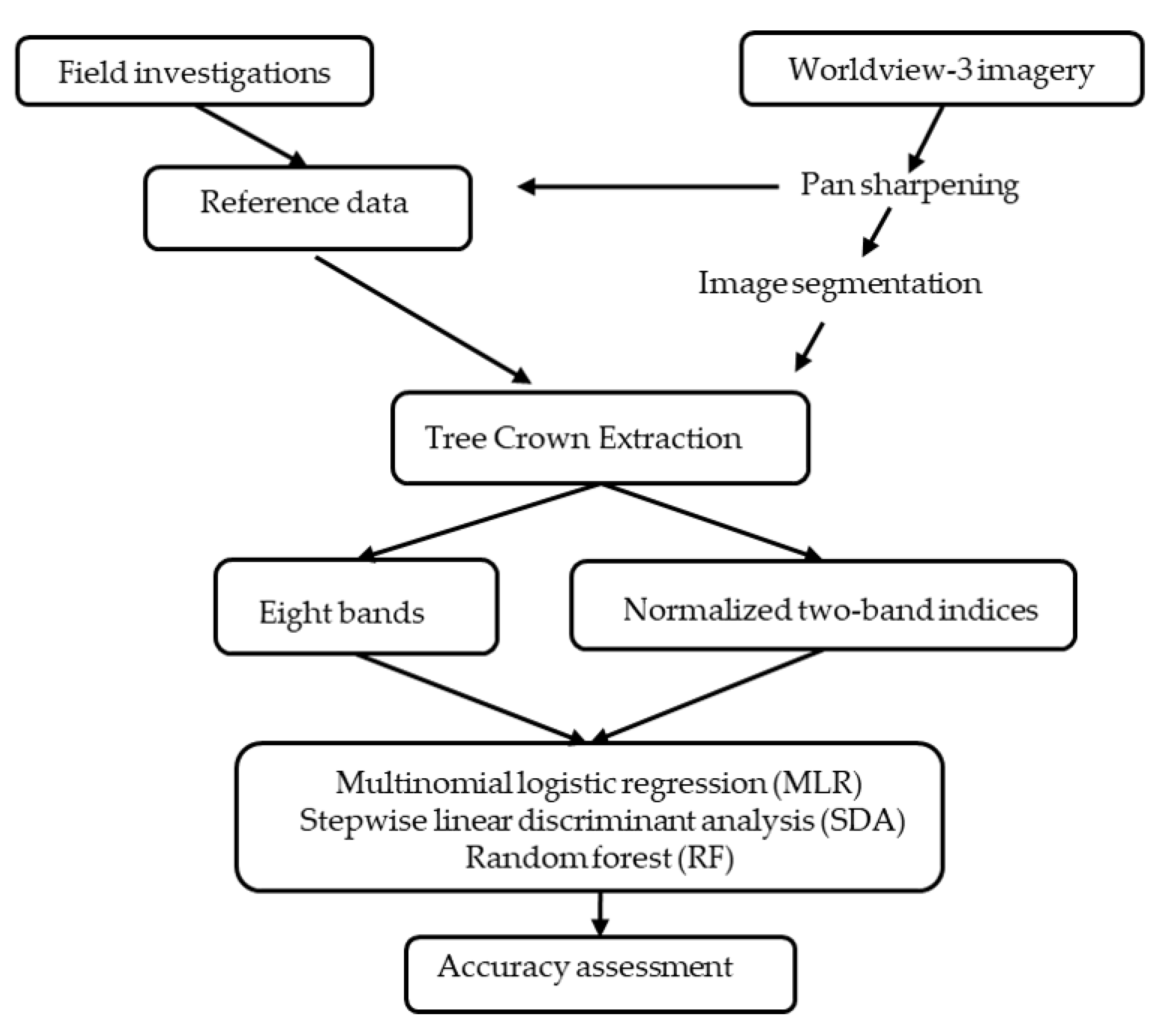 Forests 11 00417 g004 Forests 11 00417 g004