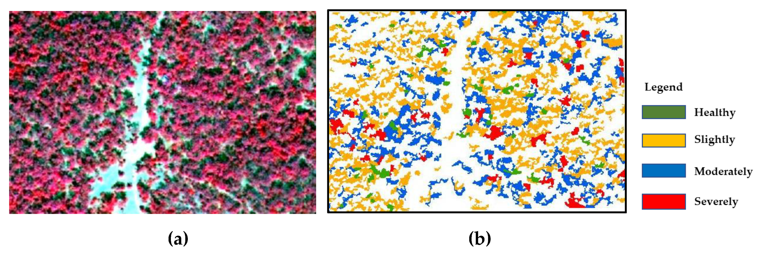 Forests 11 00417 g007 Forests 11 00417 g007
