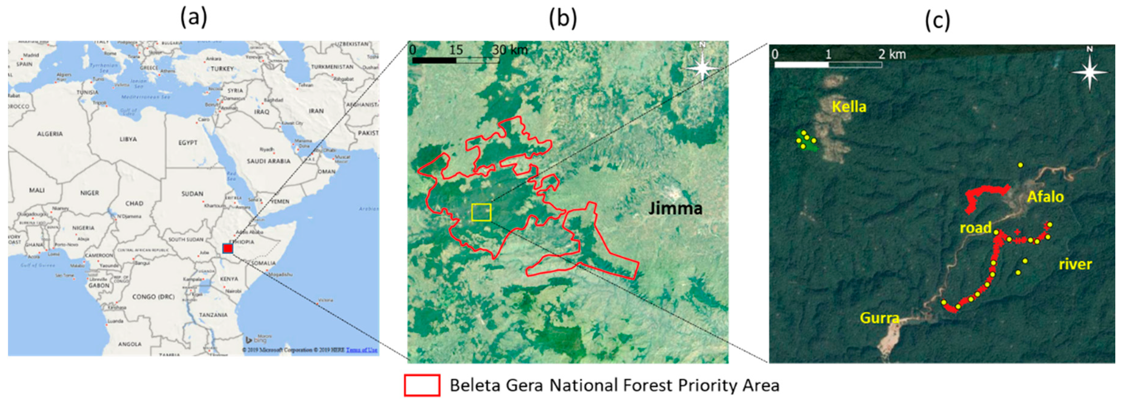 Forests 11 00422 g001