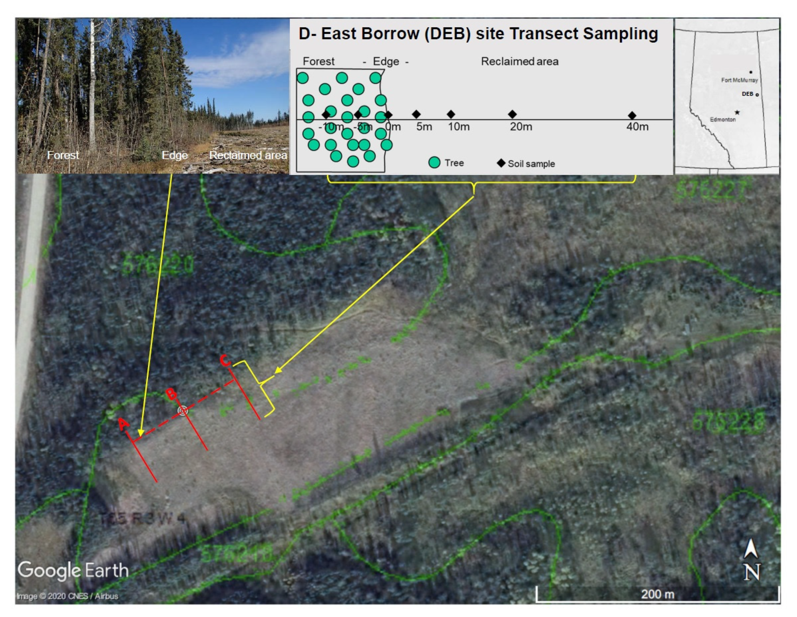 Forests 11 00427 g001 Forests 11 00427 g001