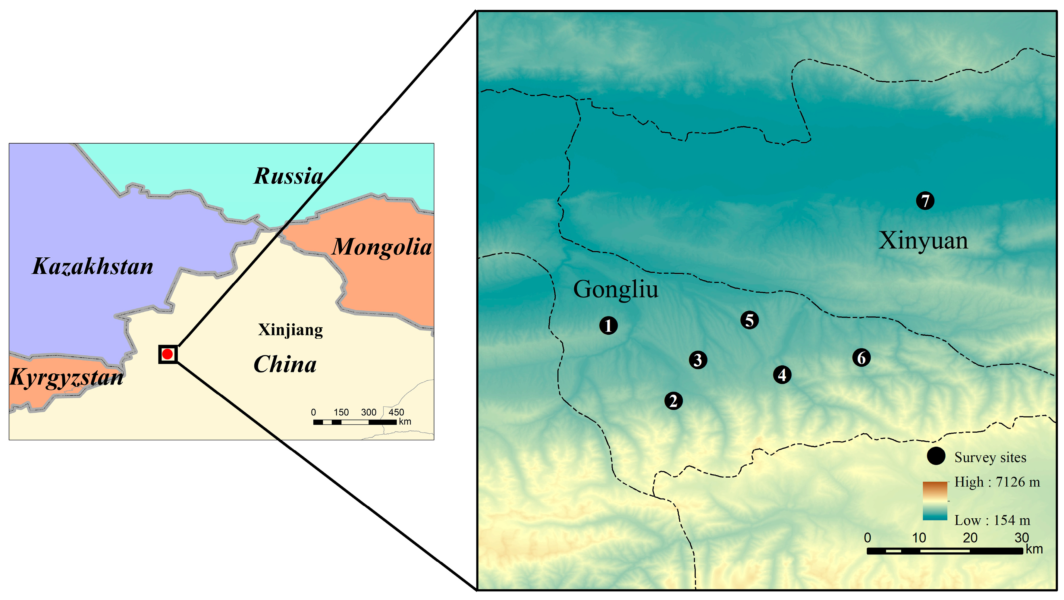 Forests 11 00440 g001