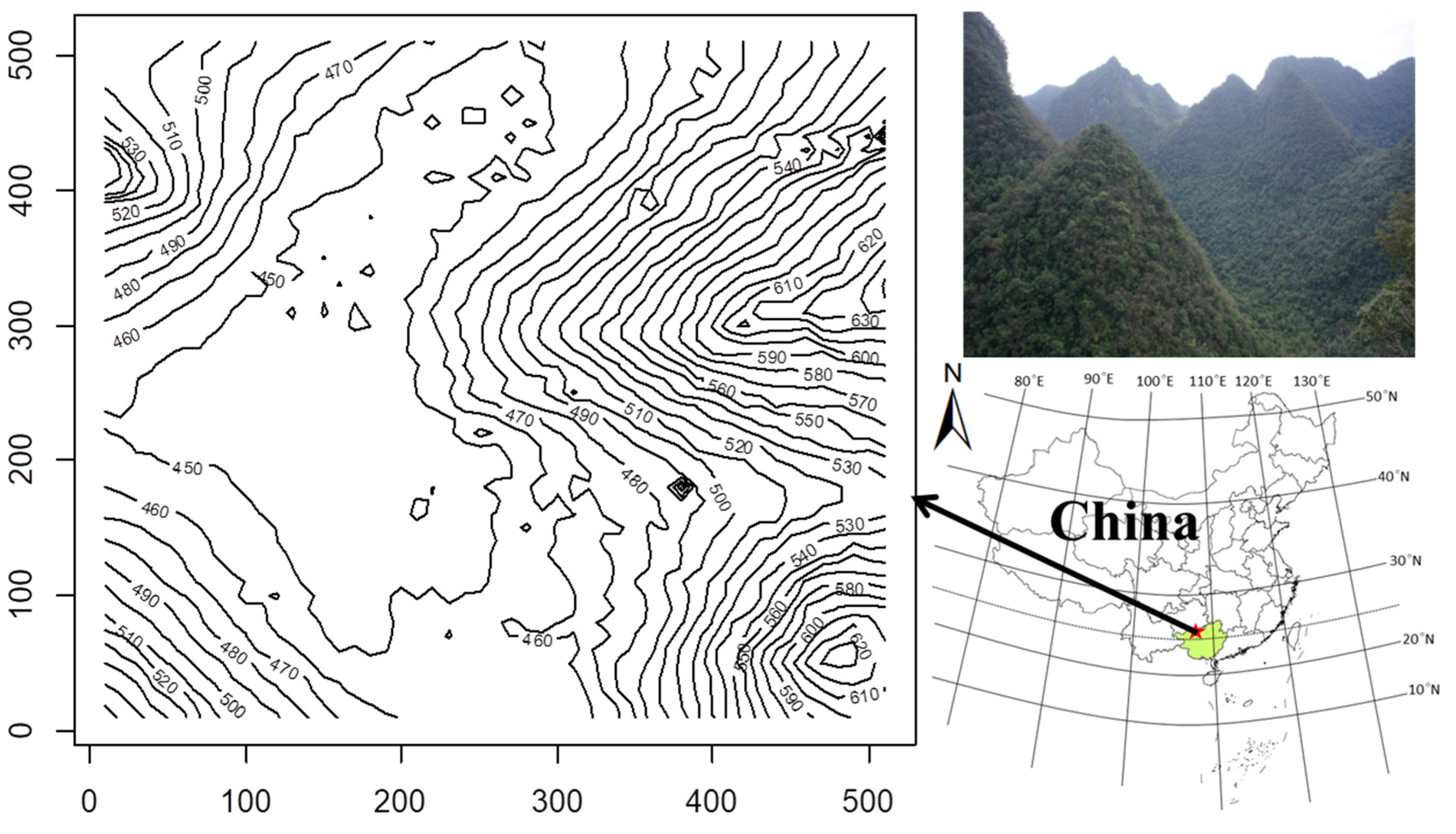 Forests 11 00443 g001