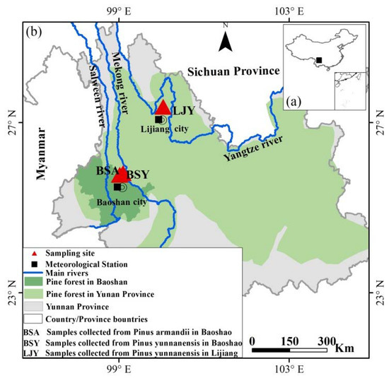 Forests 11 00446 g001
