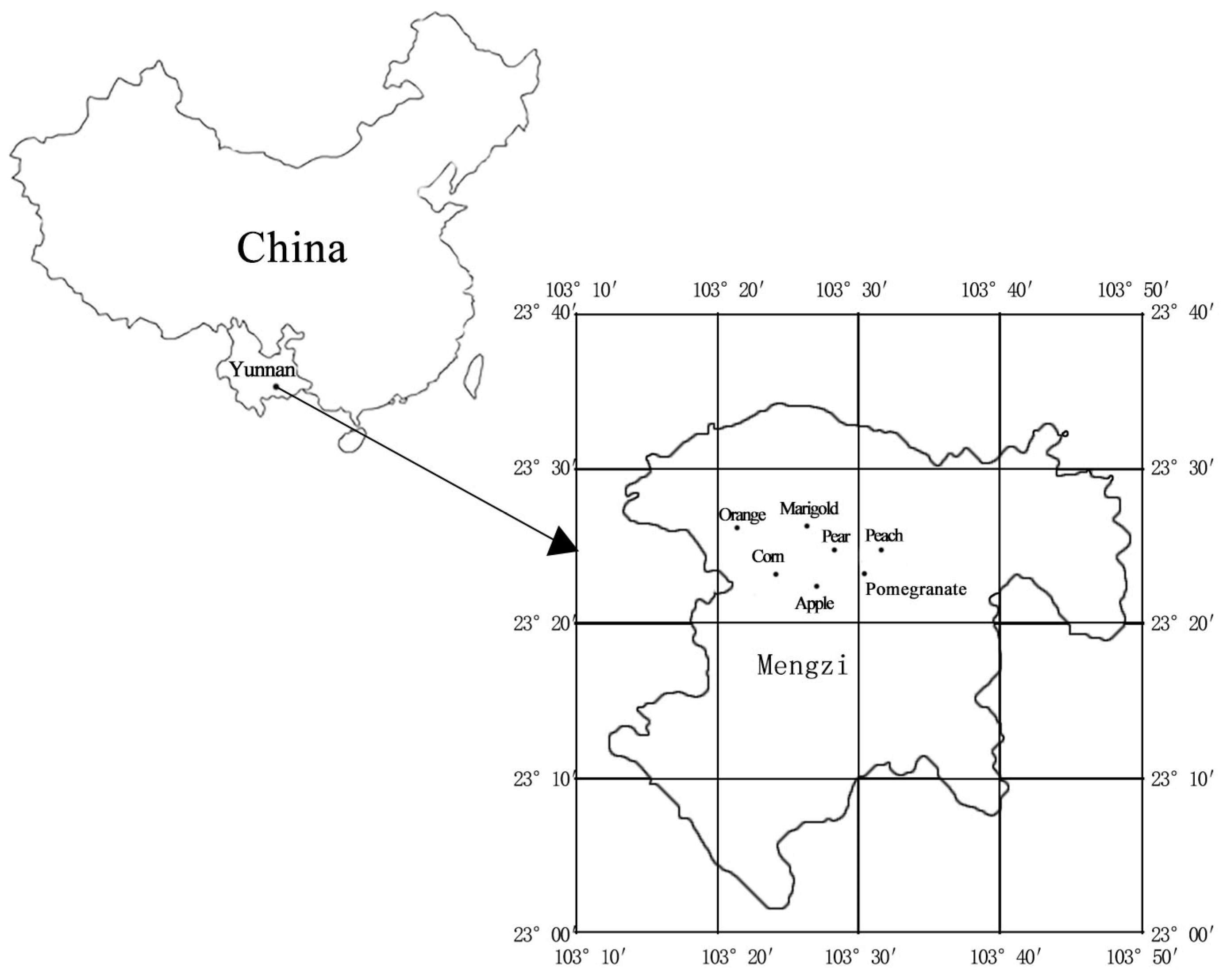 Forests 11 00451 g001 Forests 11 00451 g001