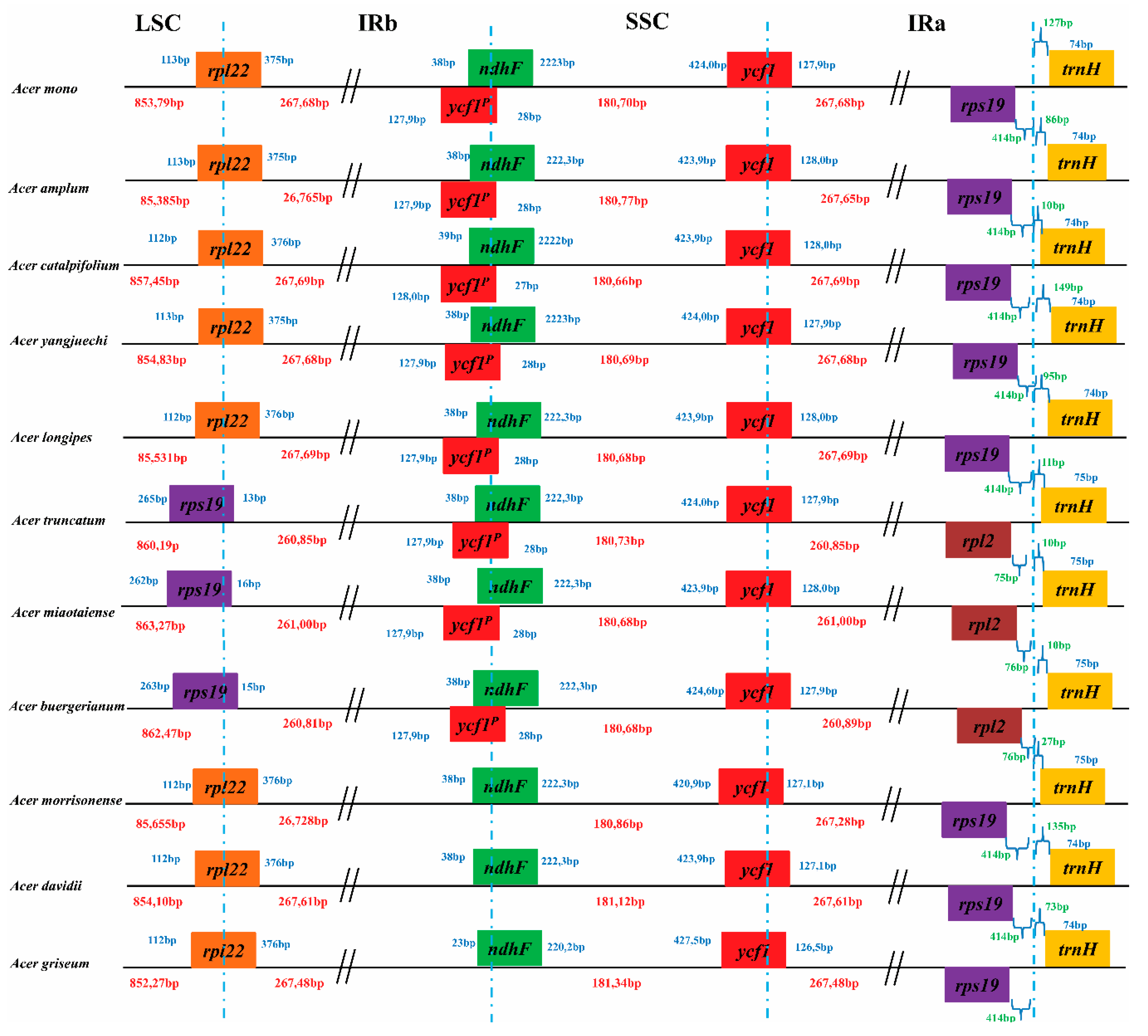 Forests 11 00462 g002