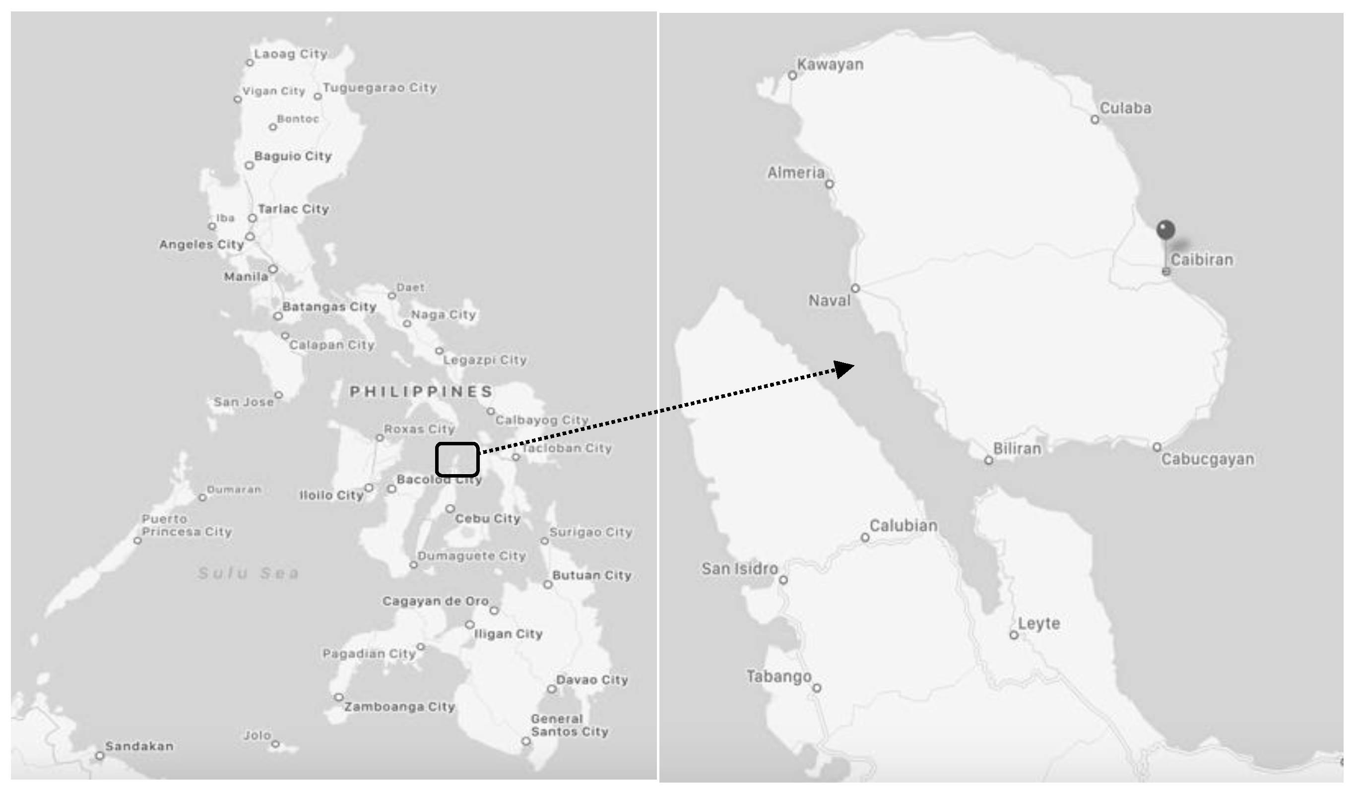 Forests 11 00475 g001 Forests 11 00475 g001