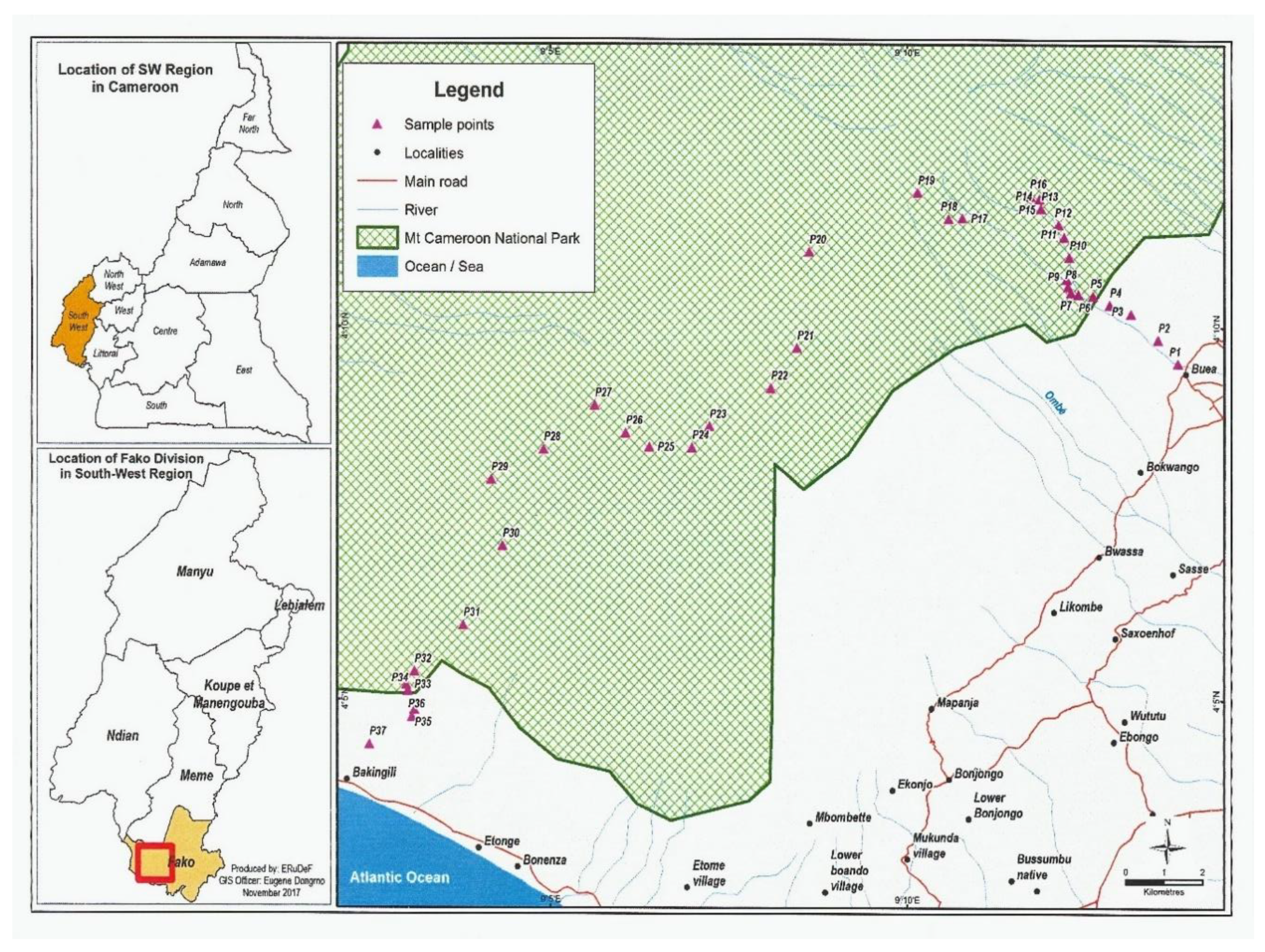 Forests 11 00481 g001