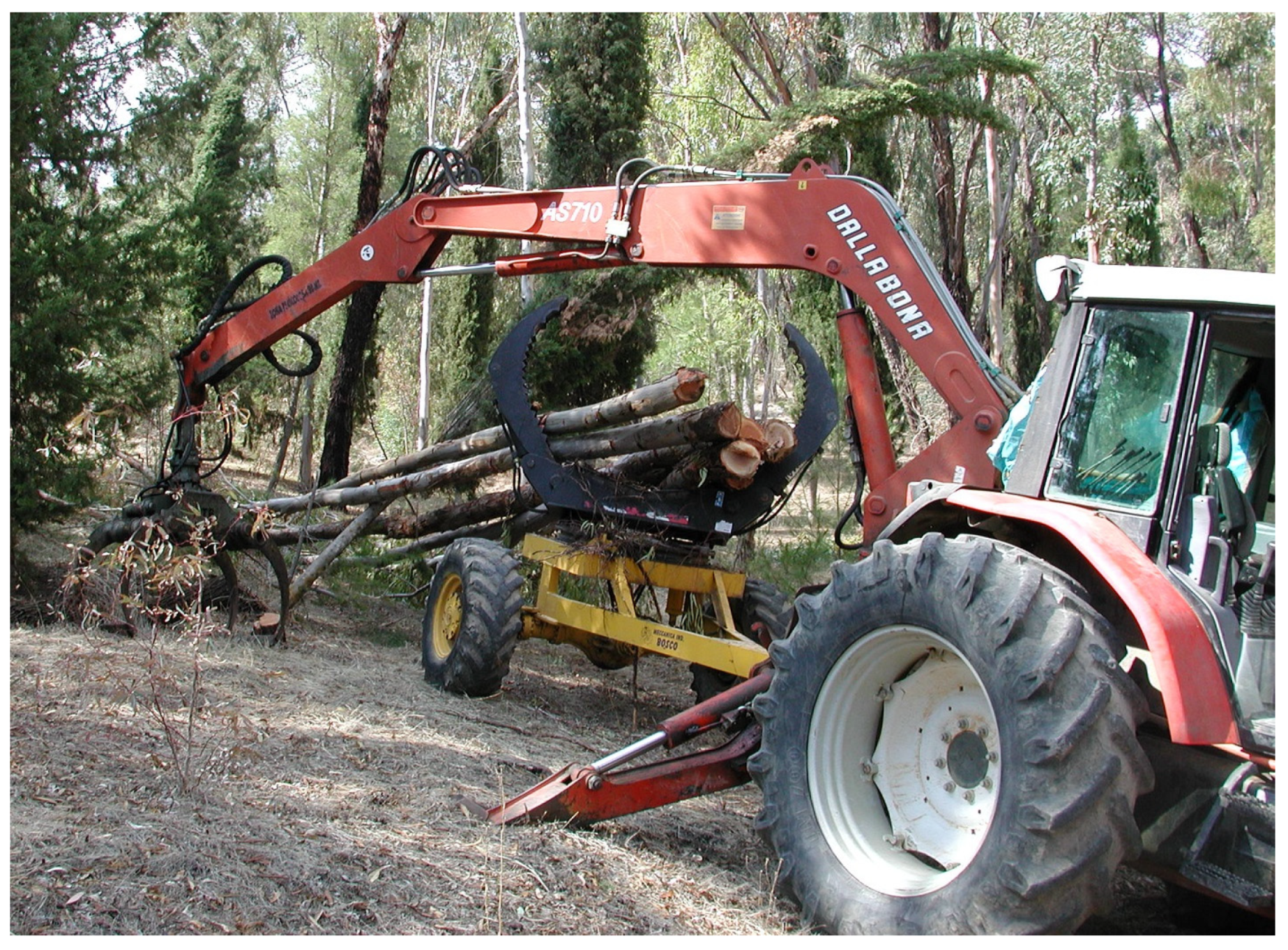 Forests 11 00502 g005