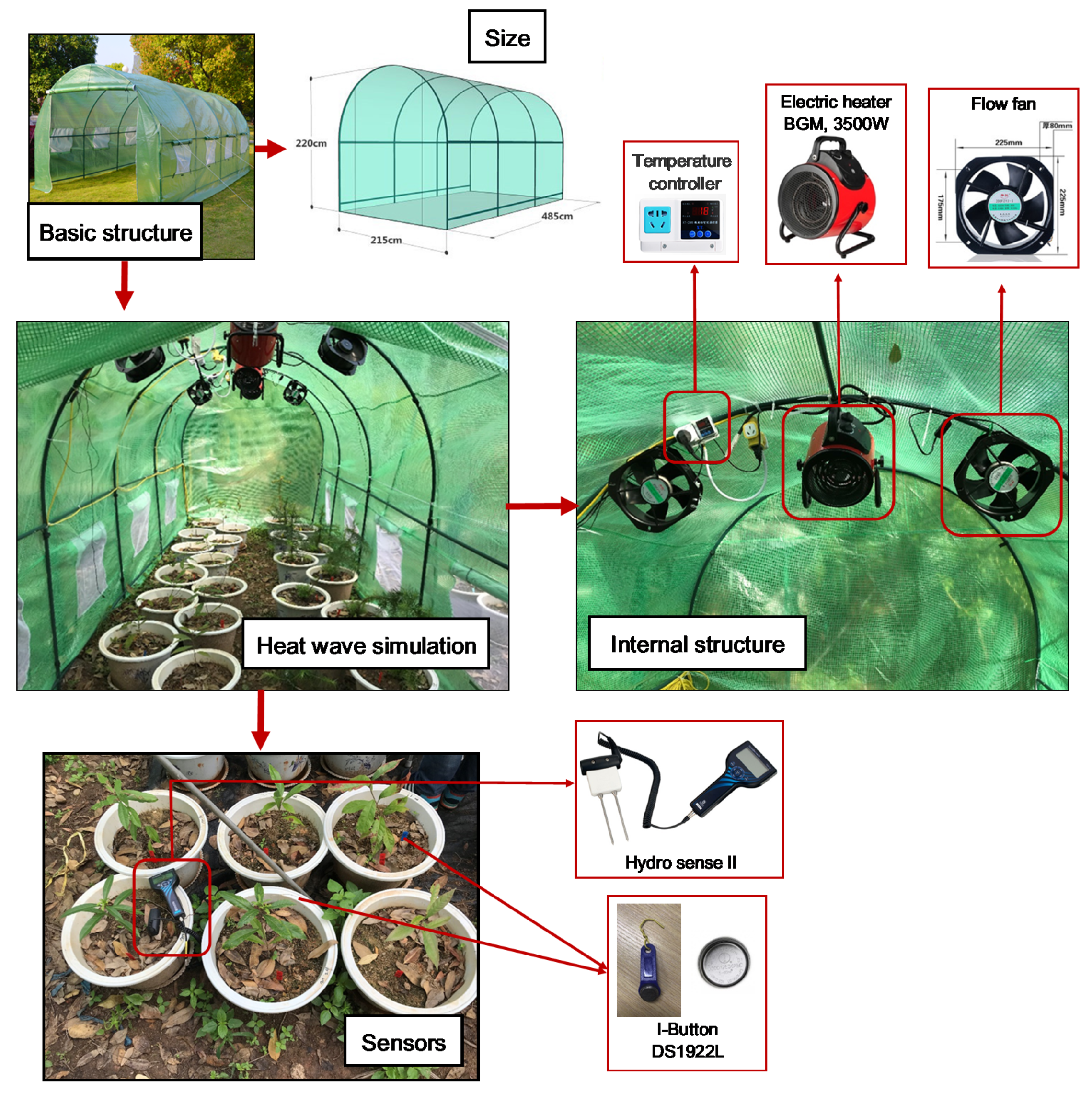 Forests 11 00513 g001
