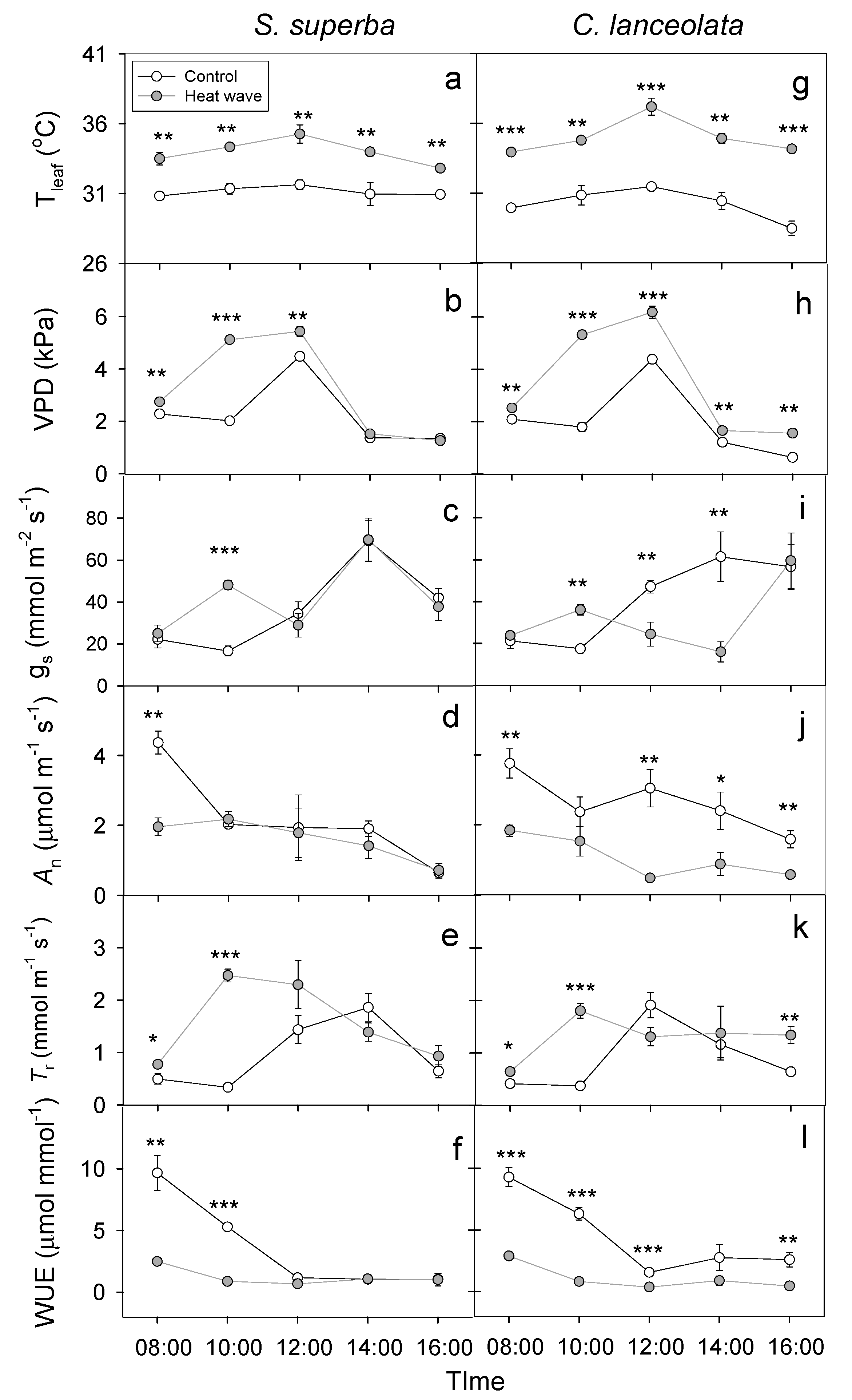 Forests 11 00513 g005