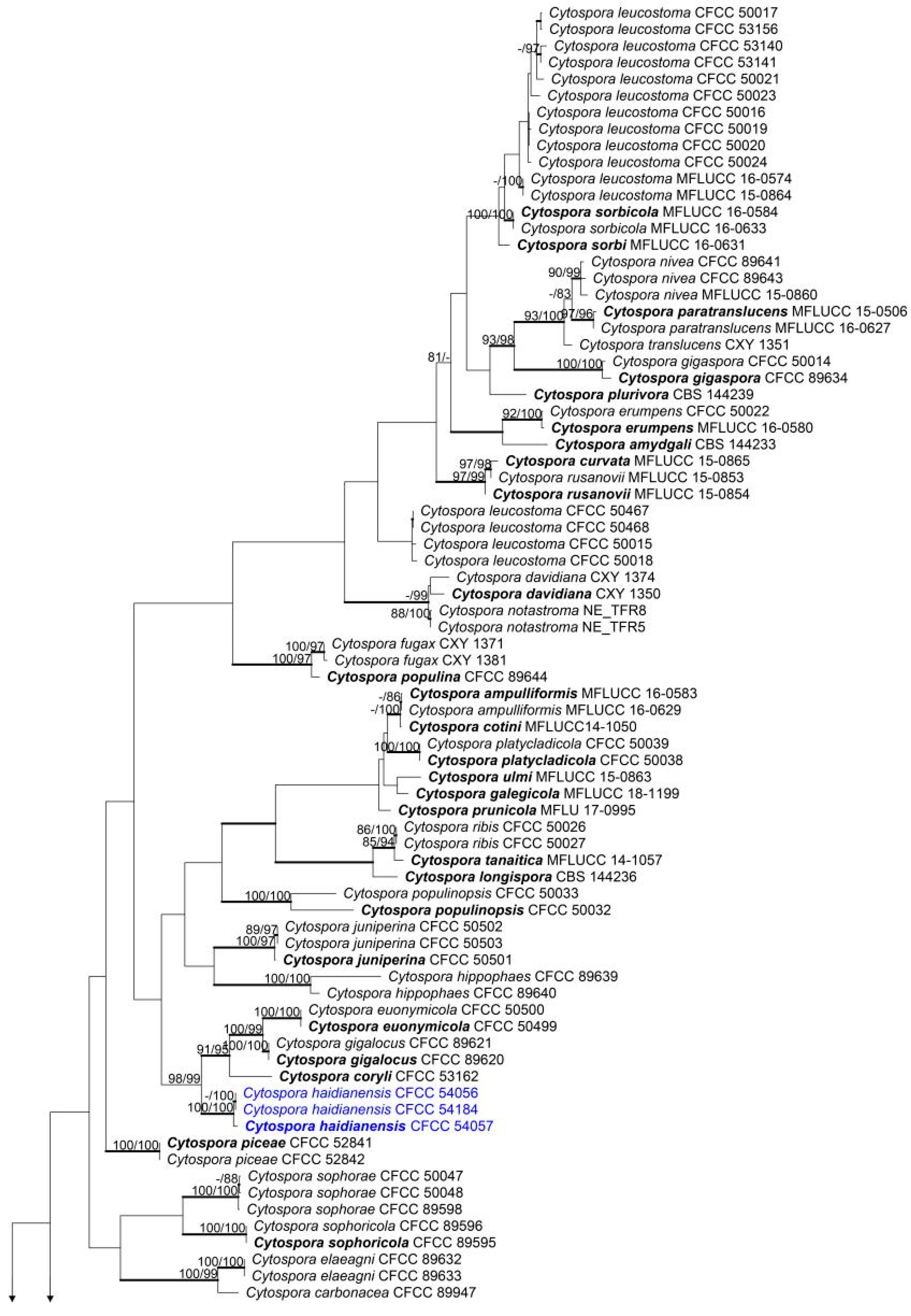 Forests 11 00524 g001a Forests 11 00524 g001a