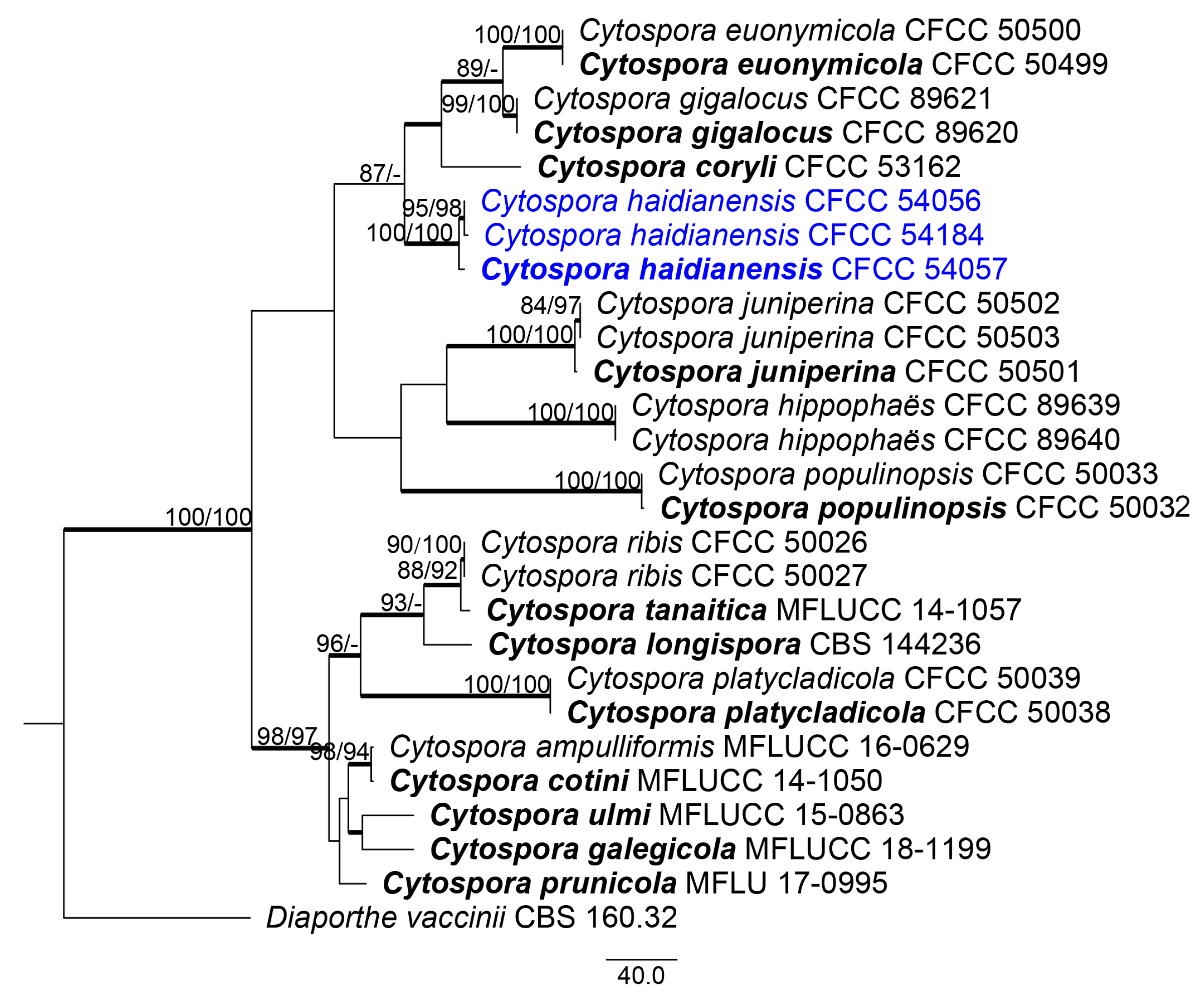 Forests 11 00524 g002 Forests 11 00524 g002