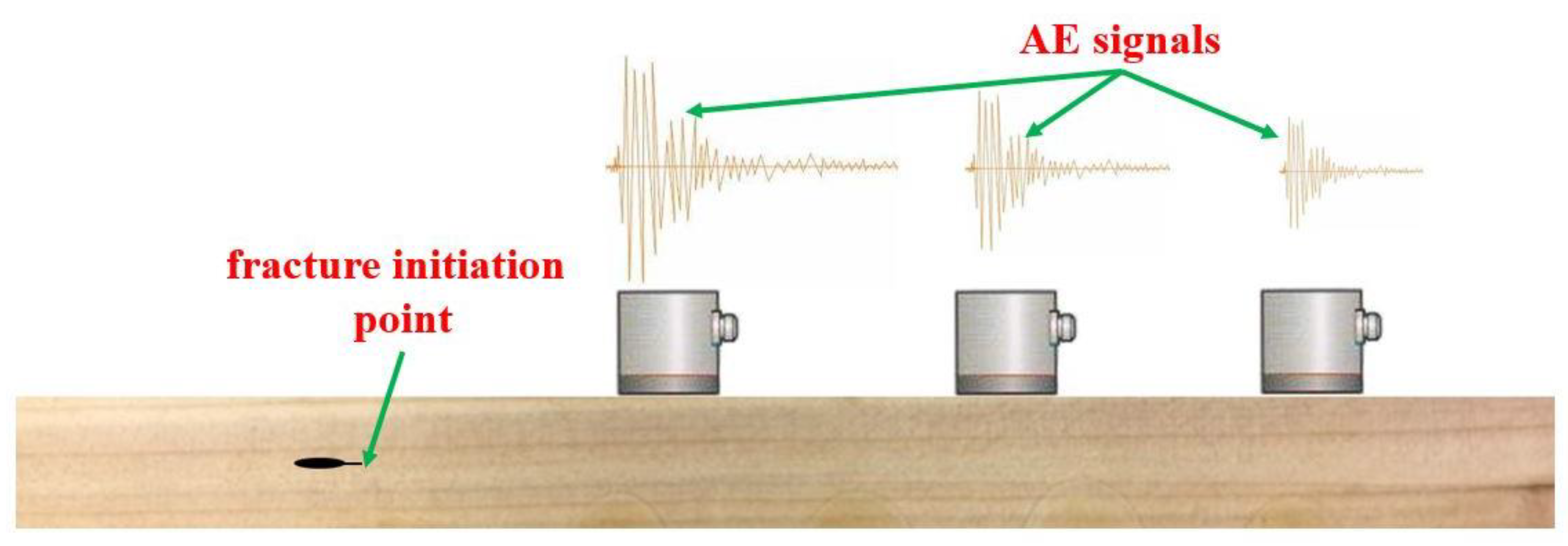 Forests 11 00534 g001
