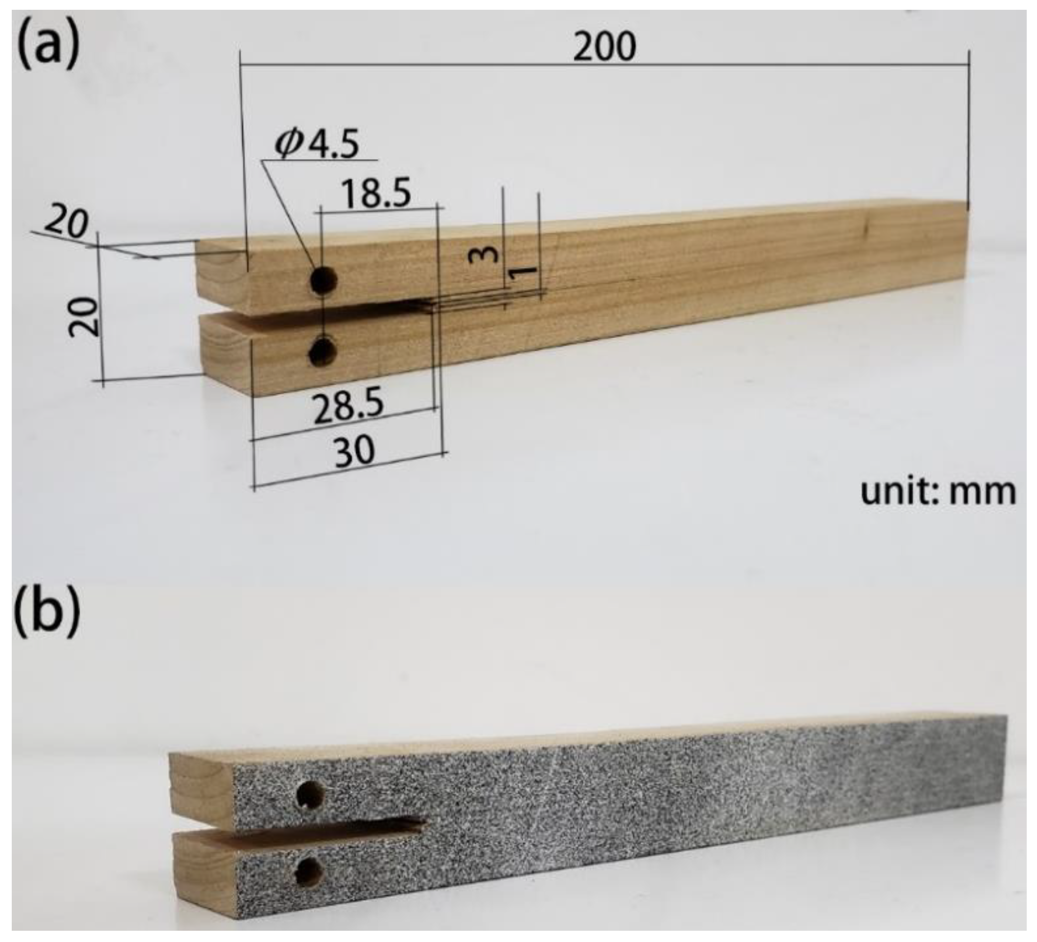 Forests 11 00534 g004