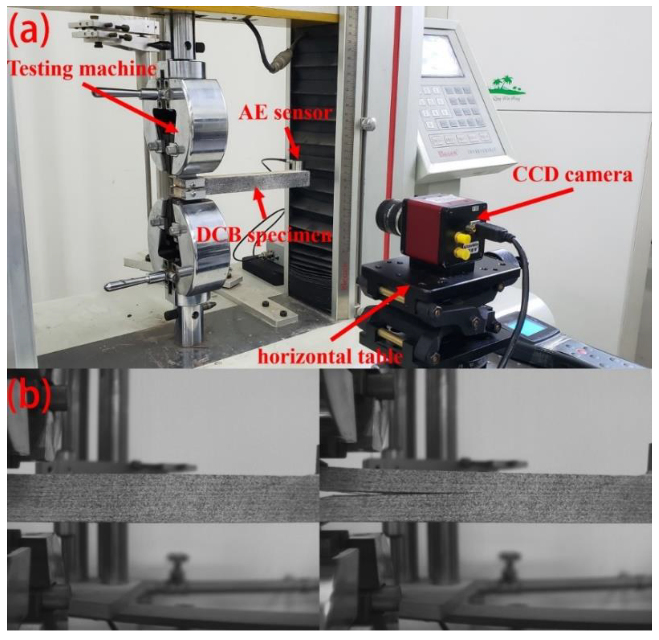 Forests 11 00534 g005