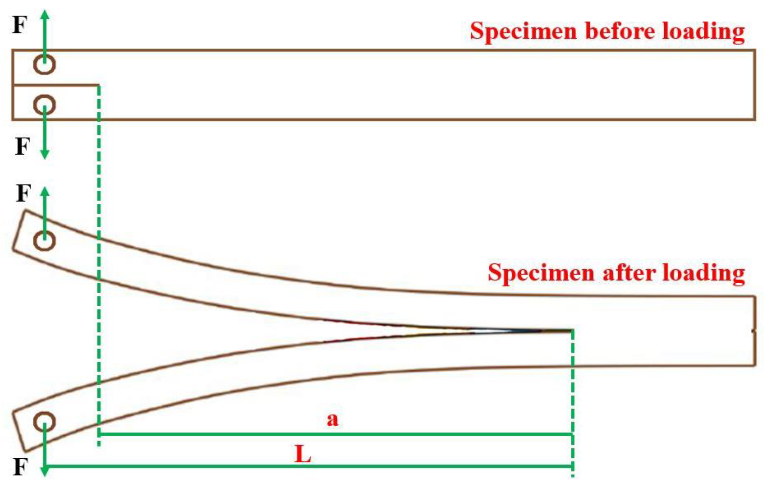 Forests 11 00534 g006