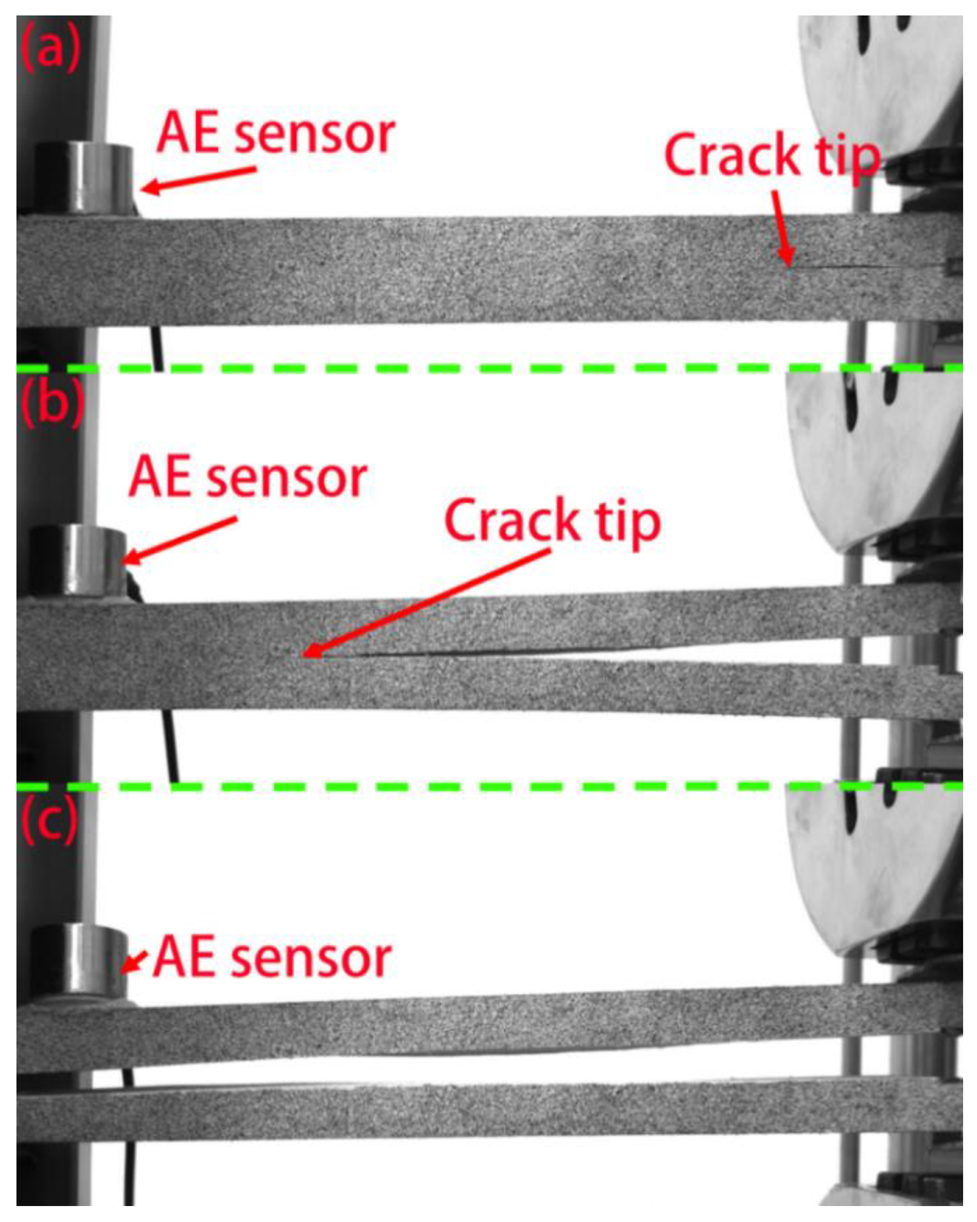 Forests 11 00534 g013