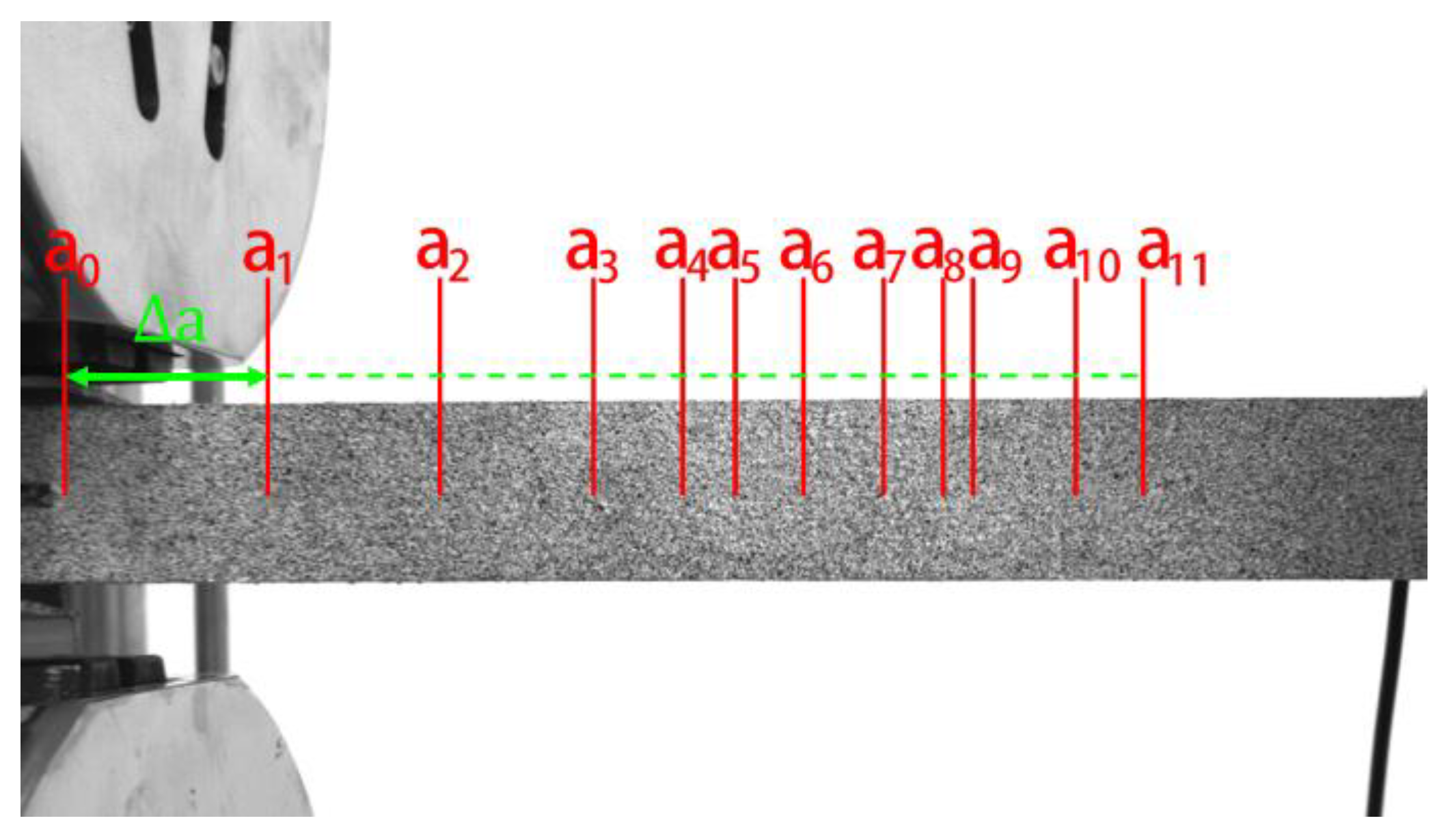 Forests 11 00534 g014