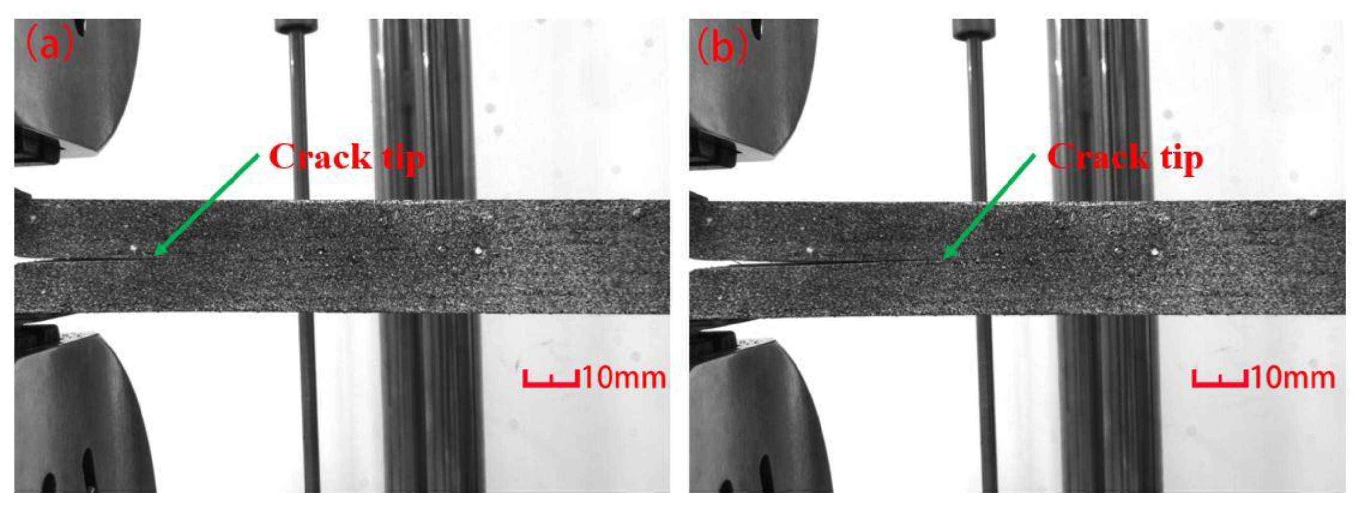 Forests 11 00534 g015