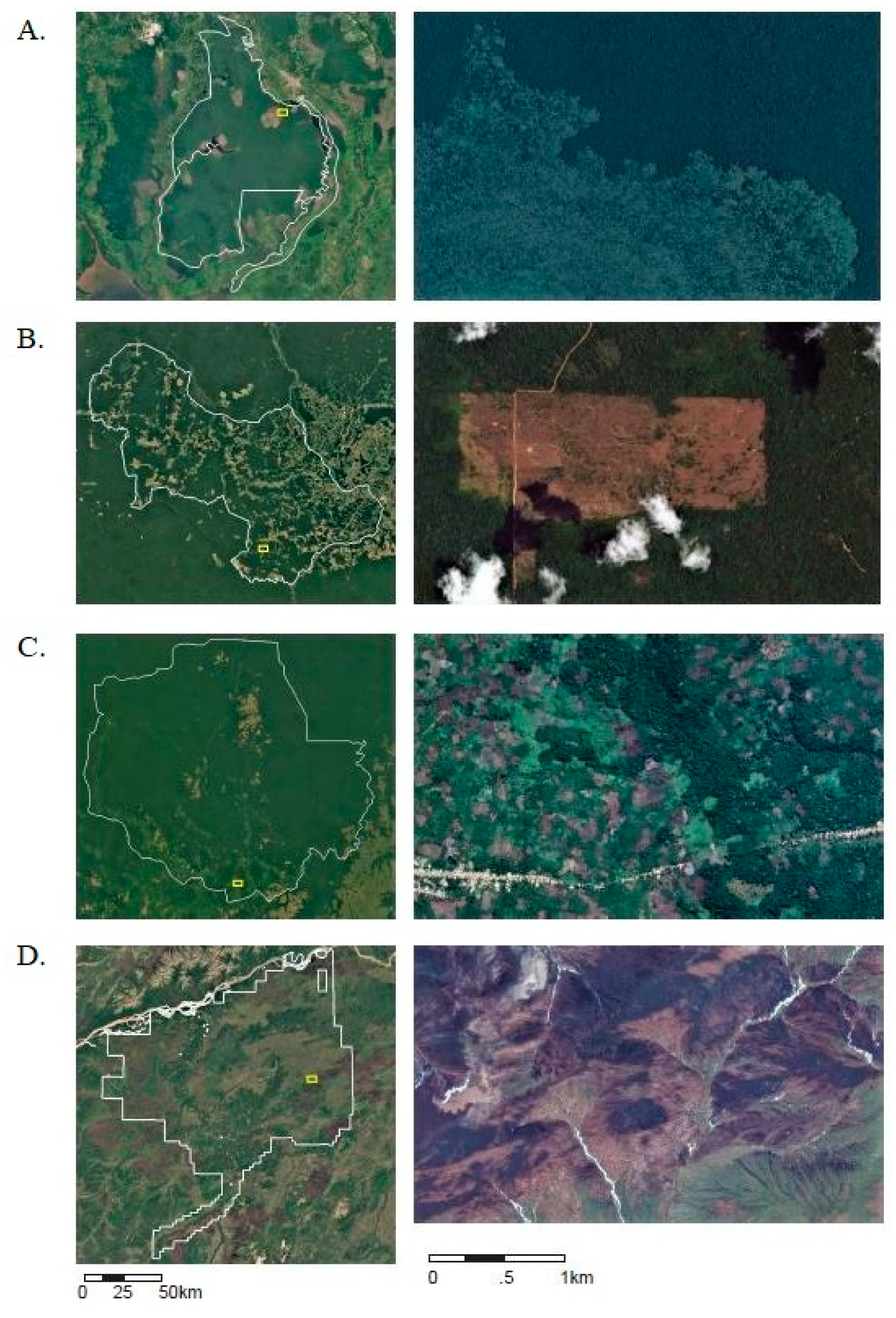Forests 11 00539 g009