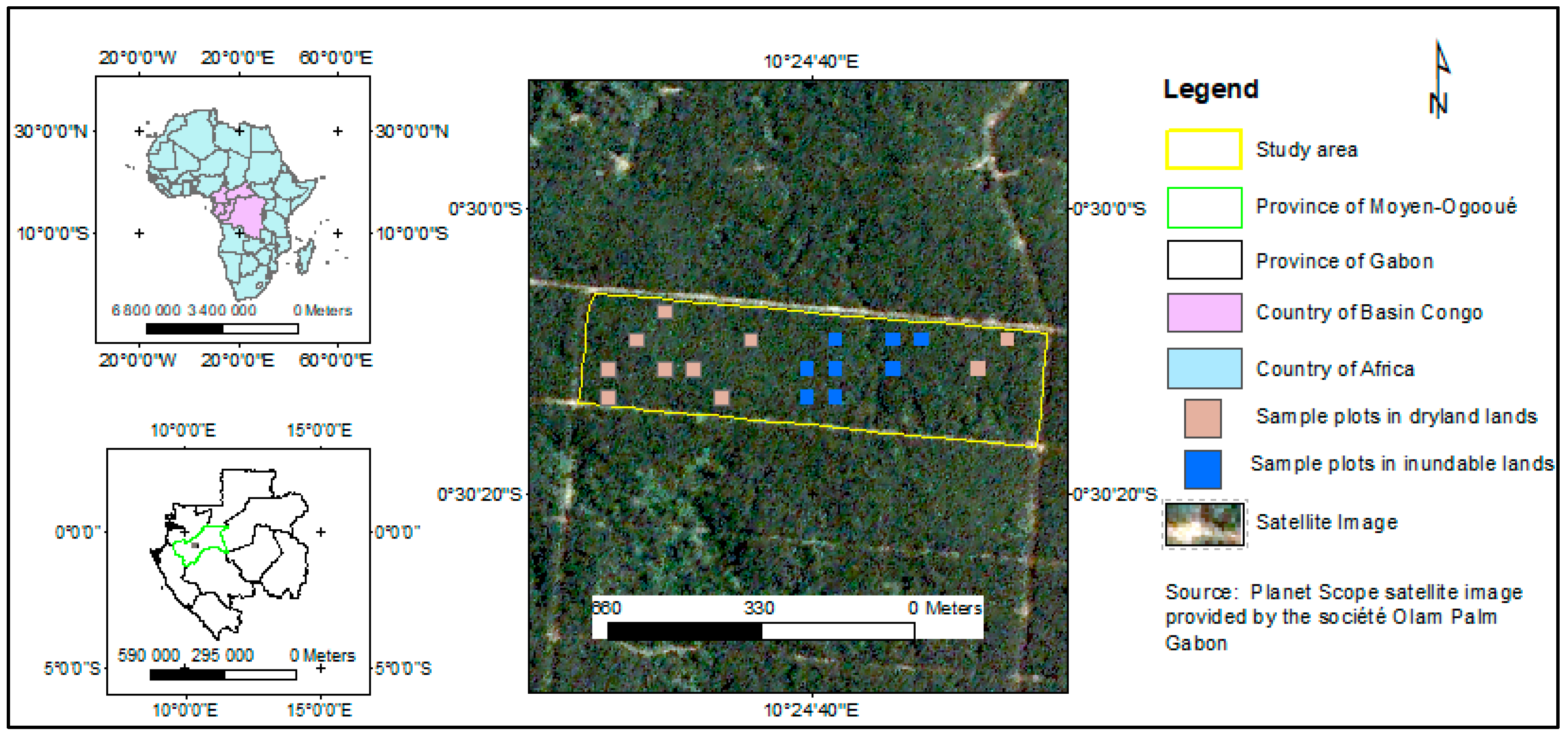 Forests 11 00544 g001 Forests 11 00544 g001