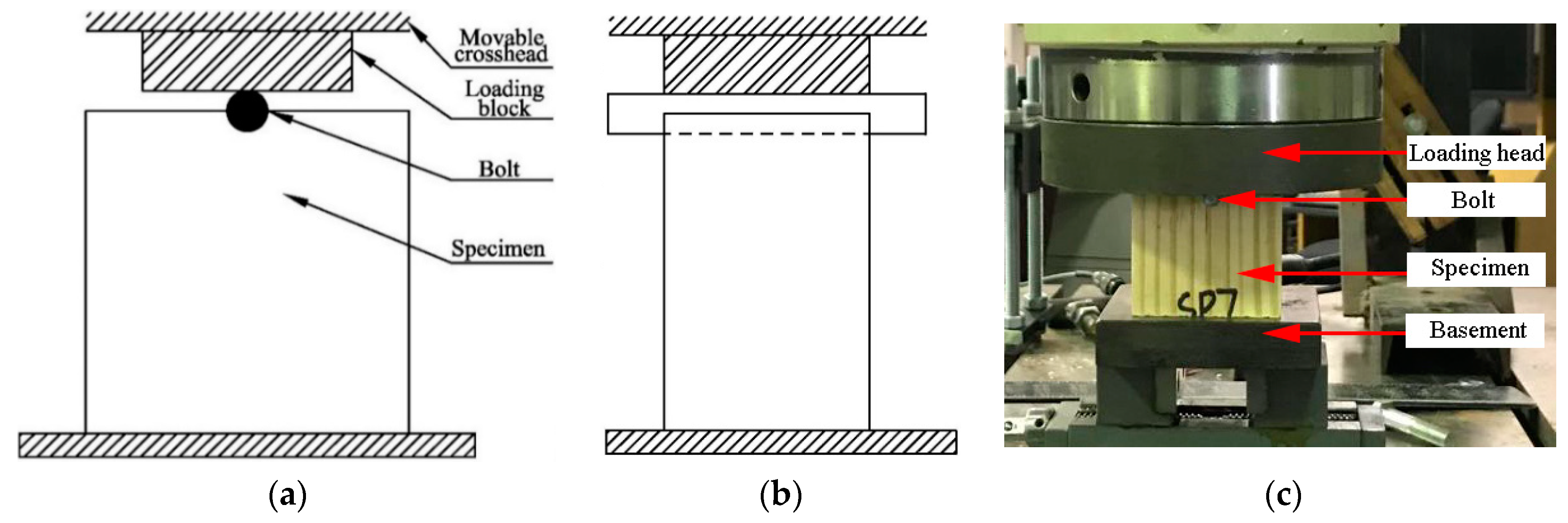 Forests 11 00551 g005 Forests 11 00551 g005