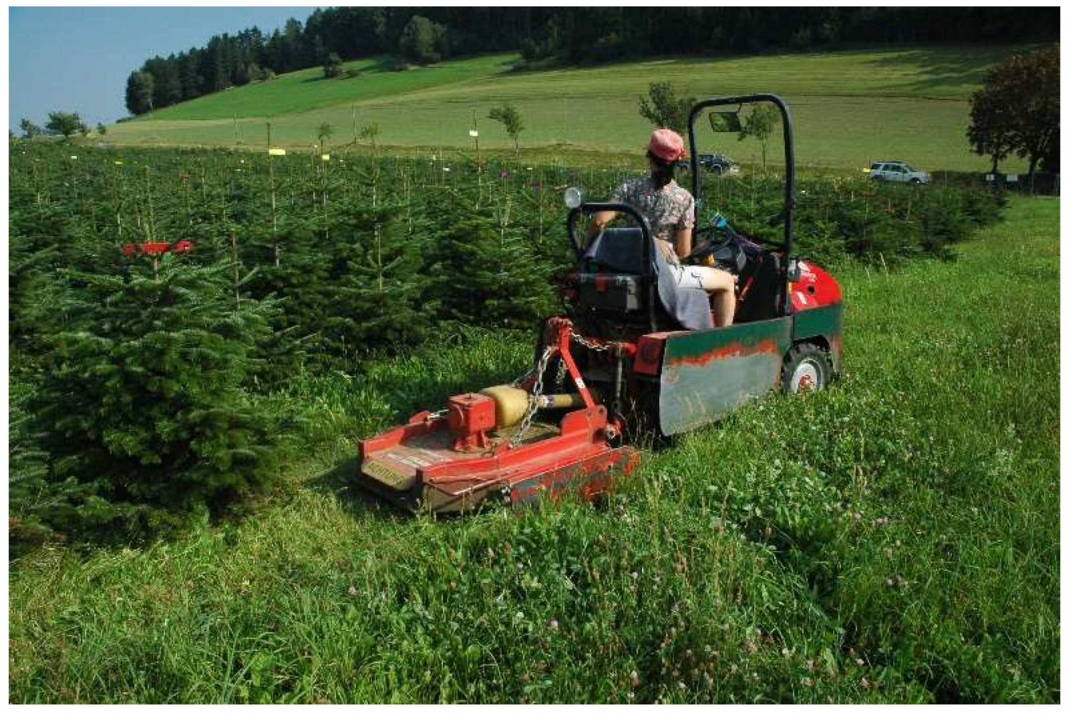 Forests 11 00554 g001