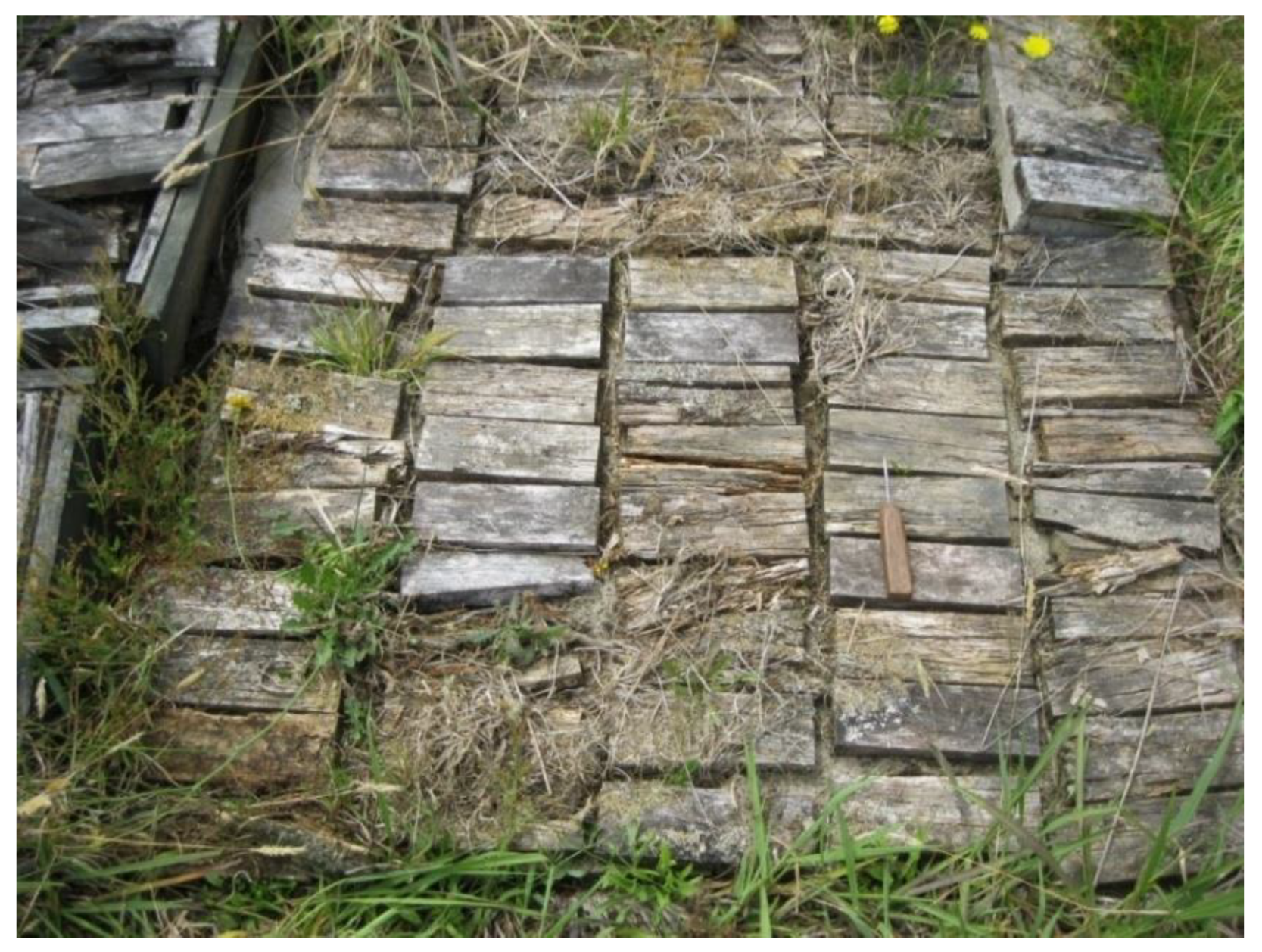 Forests 11 00559 g005